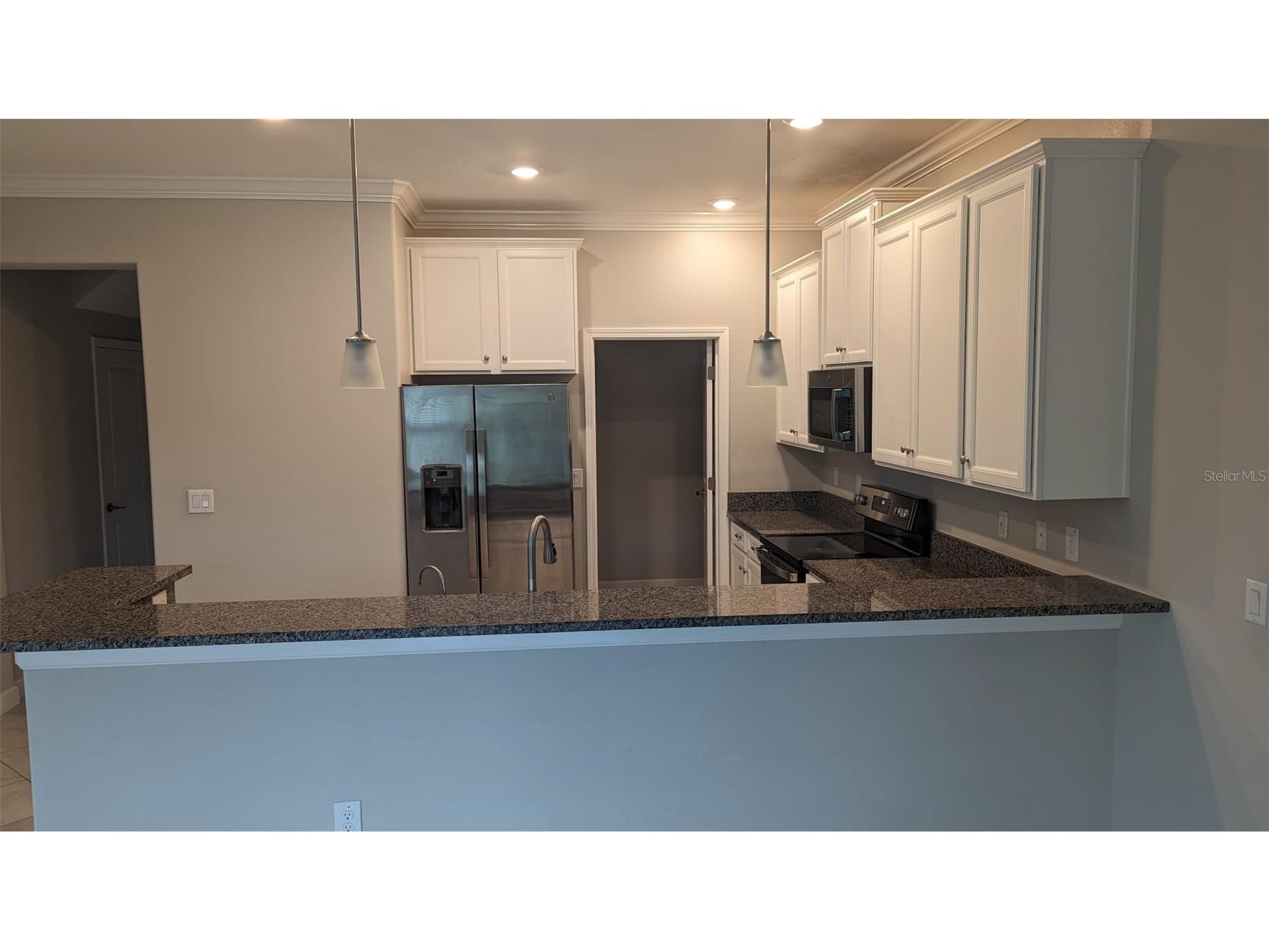 1384 White Fox Run Lutz FL 33549 TB8517280 image12