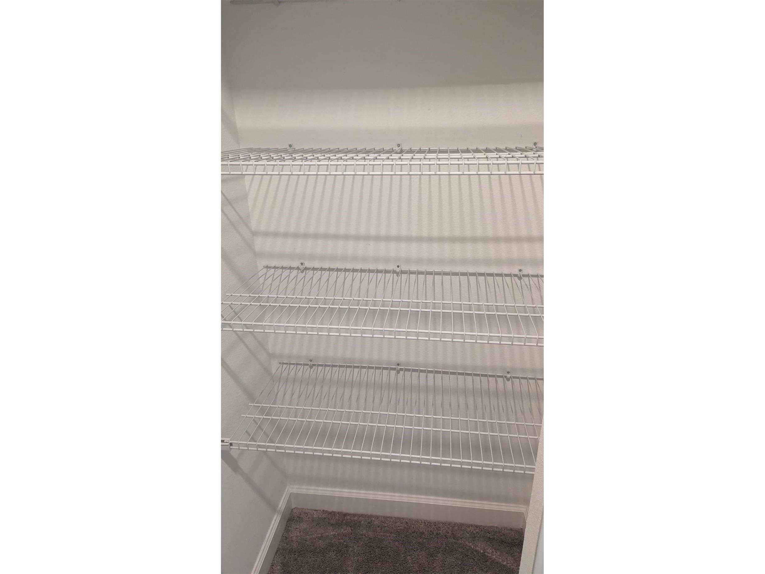 1384 White Fox Run Lutz FL 33549 TB8517280 image13