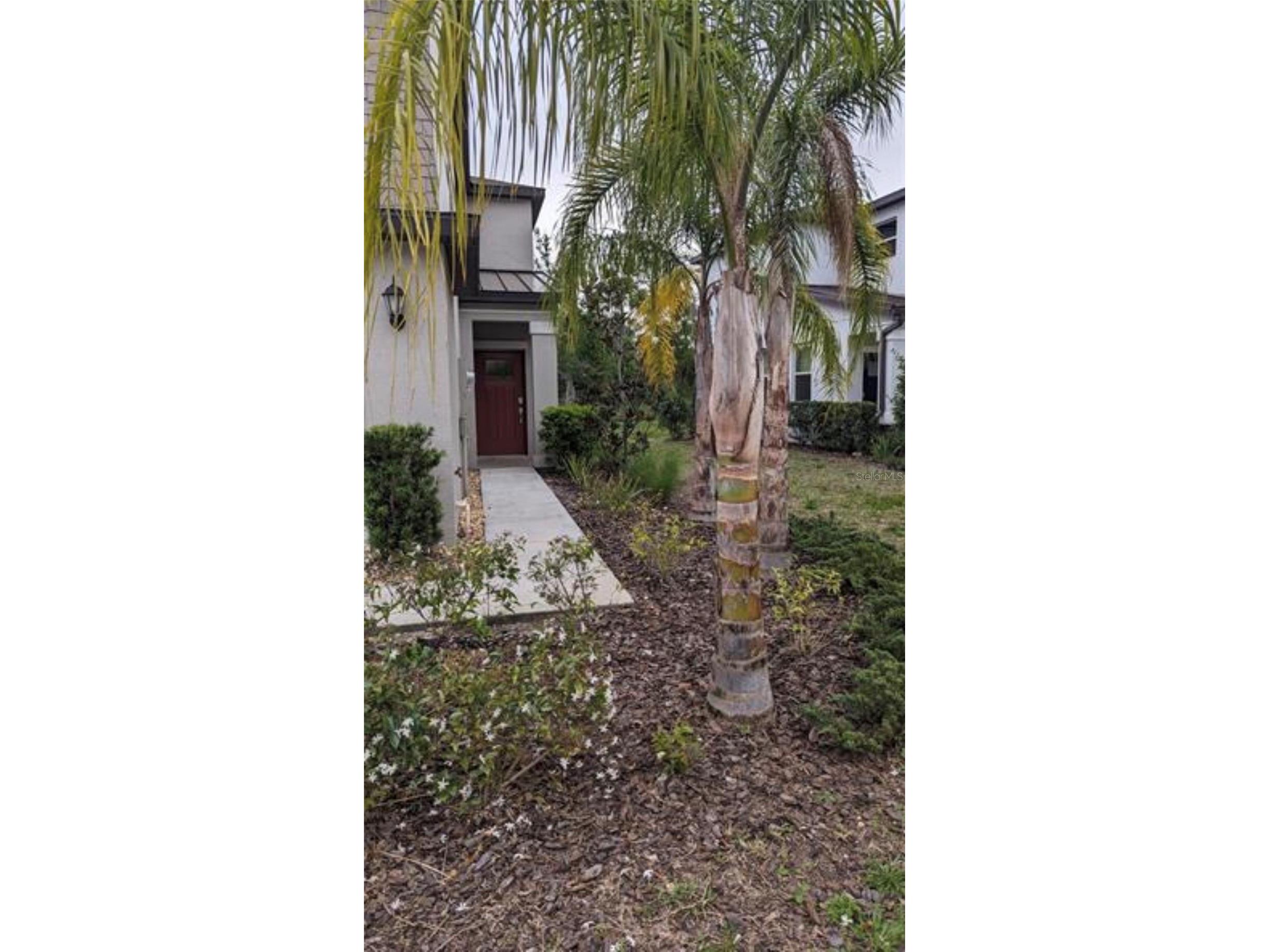 1384 White Fox Run Lutz FL 33549 TB8517280 image2