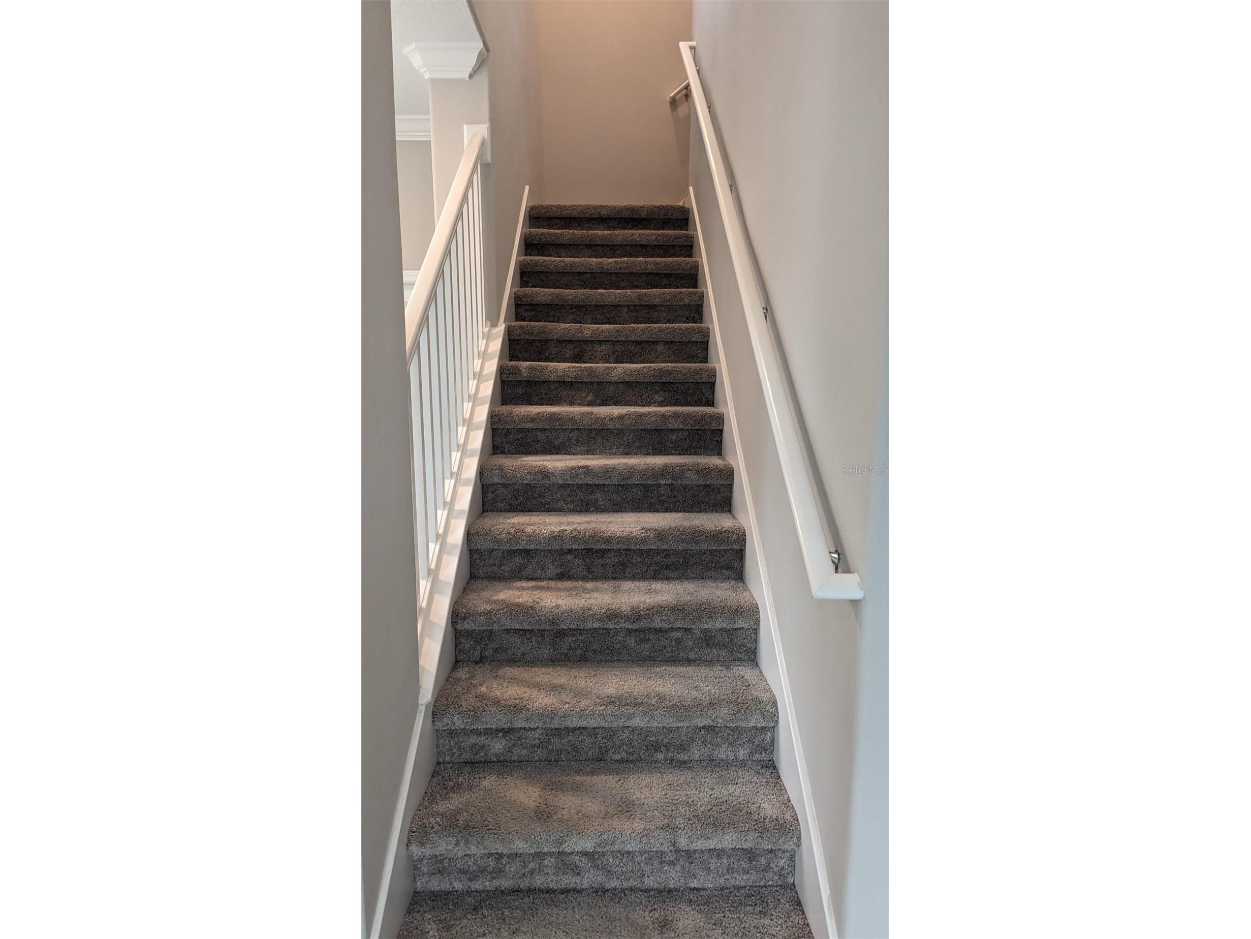1384 White Fox Run Lutz FL 33549 TB8517280 image20