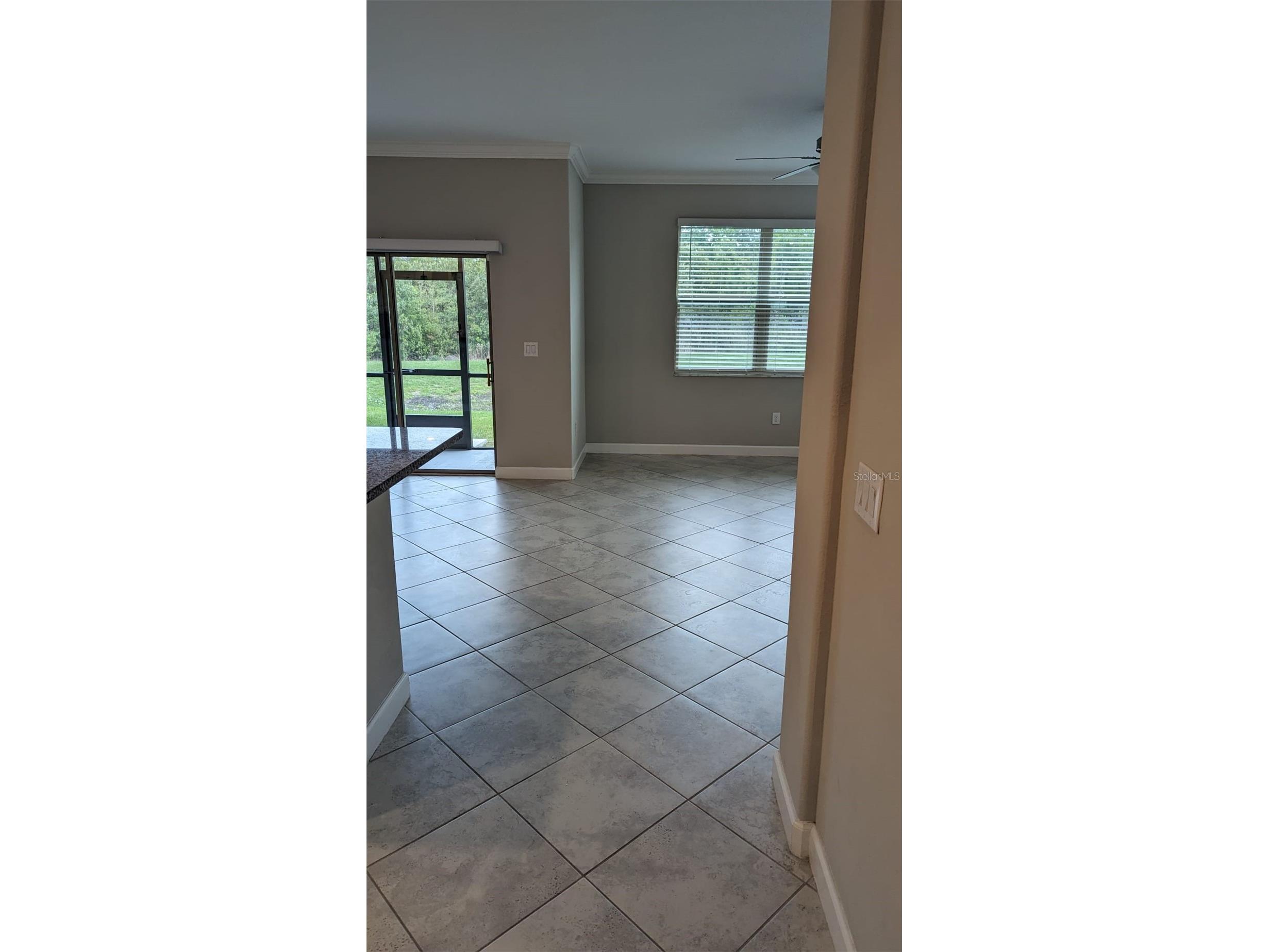 1384 White Fox Run Lutz FL 33549 TB8517280 image22