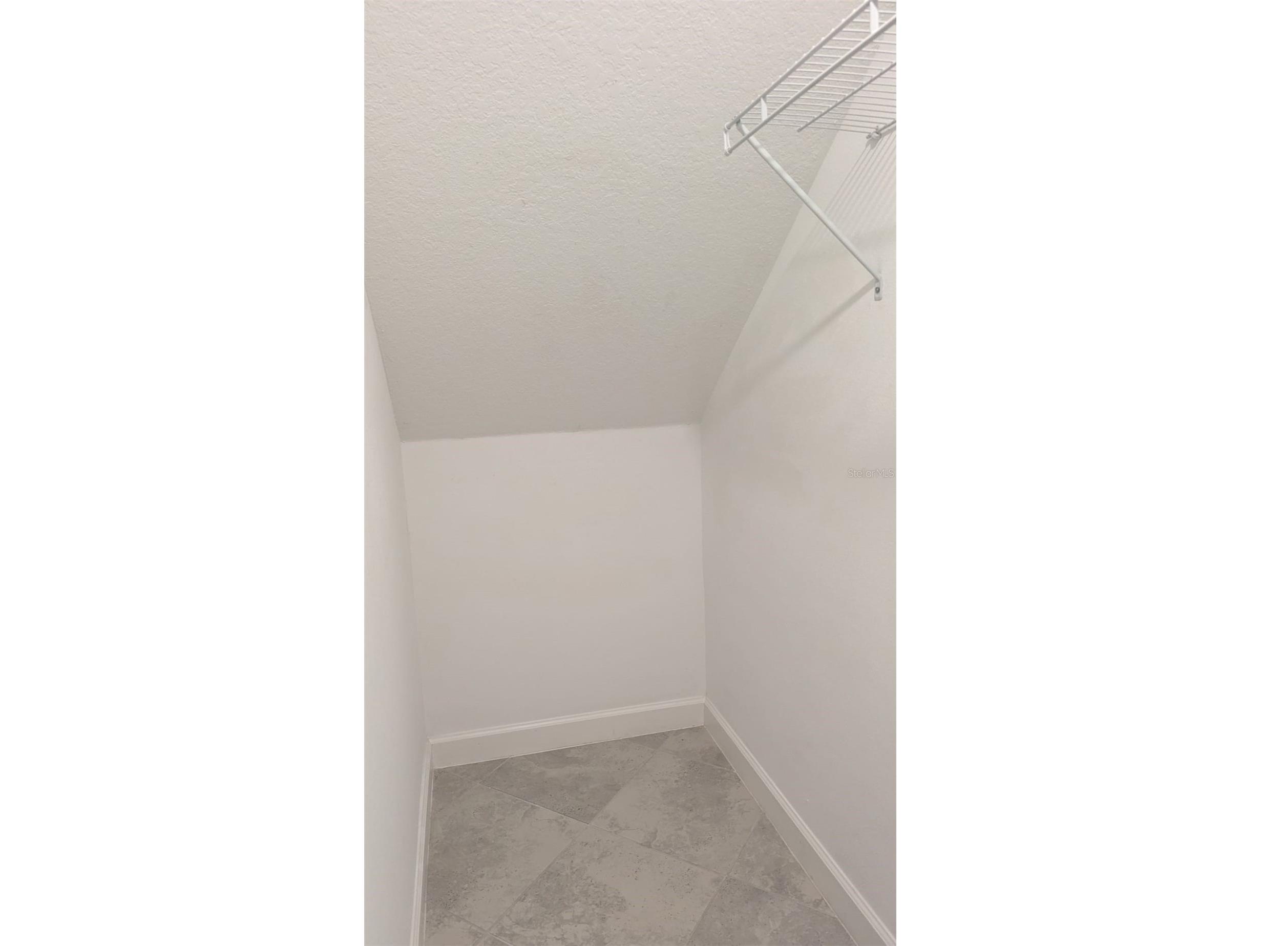 1384 White Fox Run Lutz FL 33549 TB8517280 image23