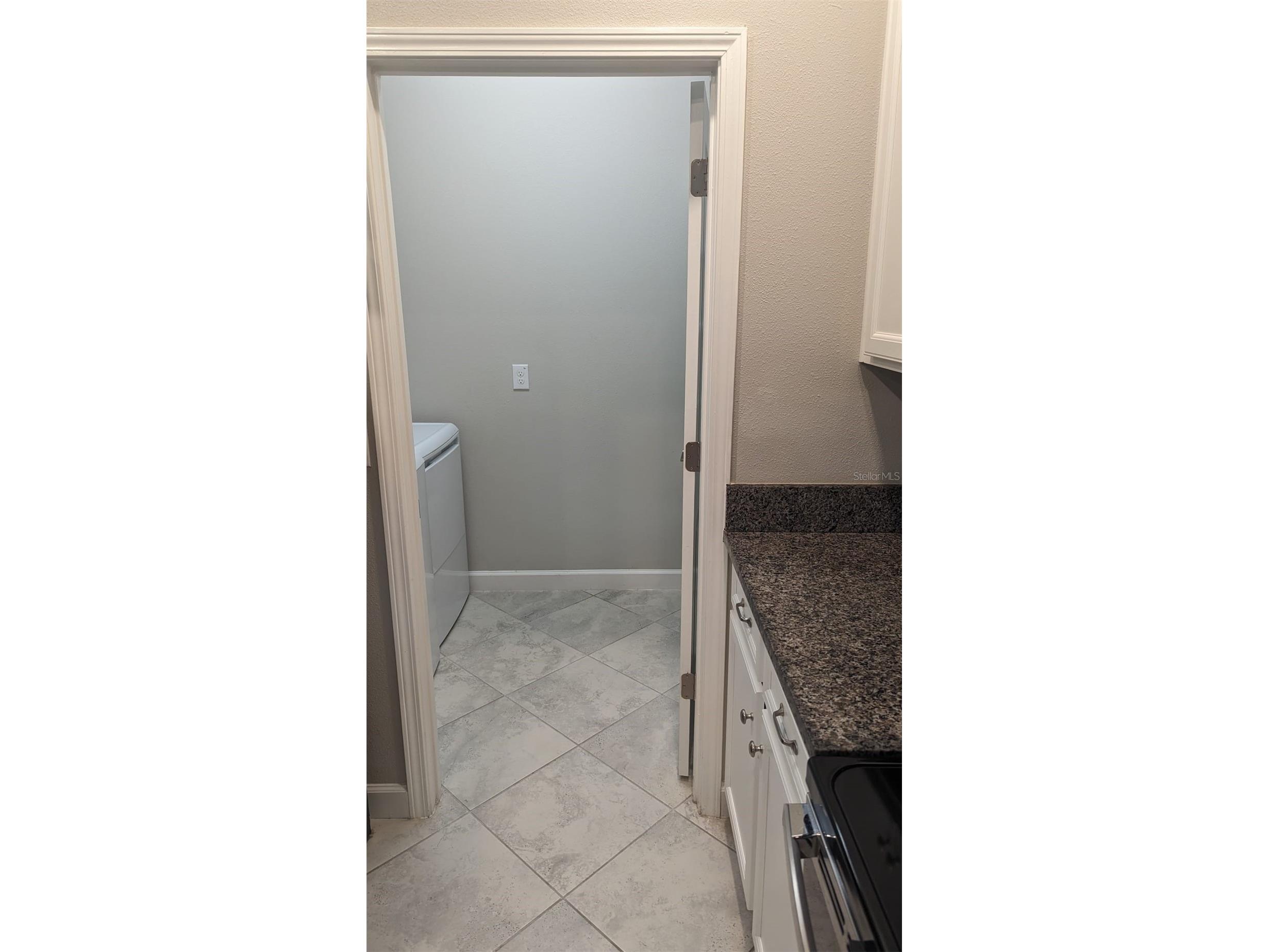 1384 White Fox Run Lutz FL 33549 TB8517280 image29