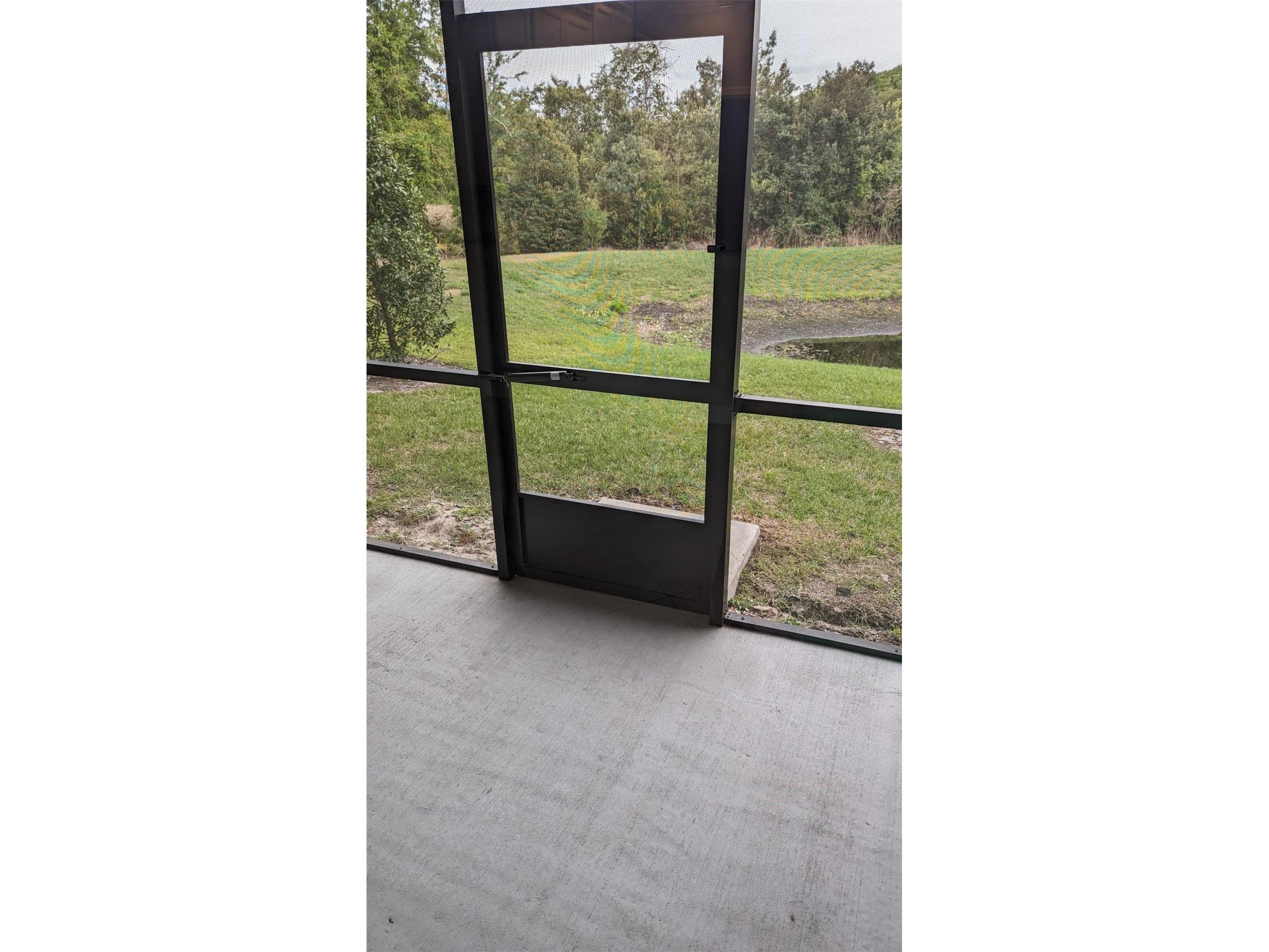 1384 White Fox Run Lutz FL 33549 TB8517280 image33