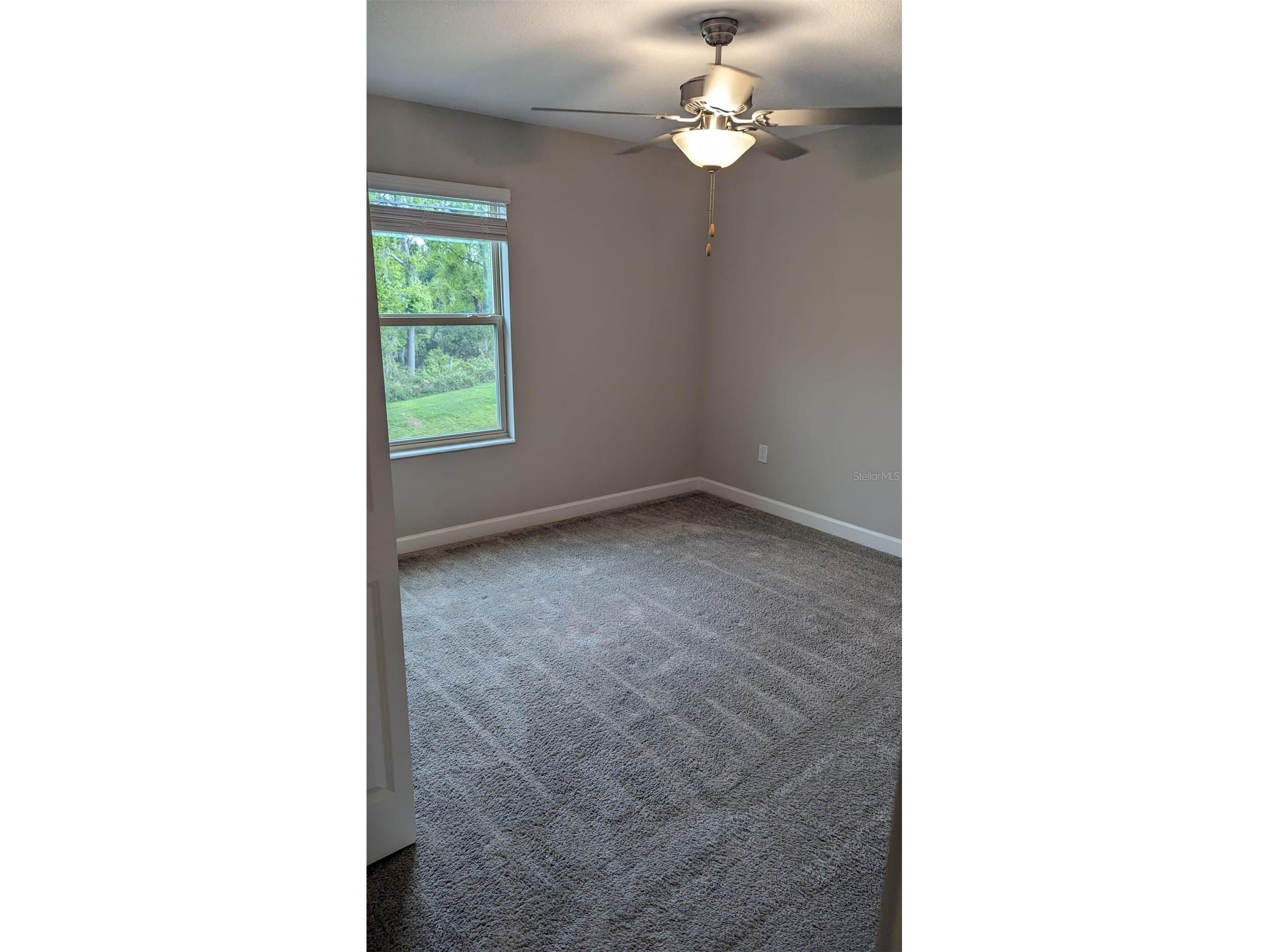 1384 White Fox Run Lutz FL 33549 TB8517280 image34