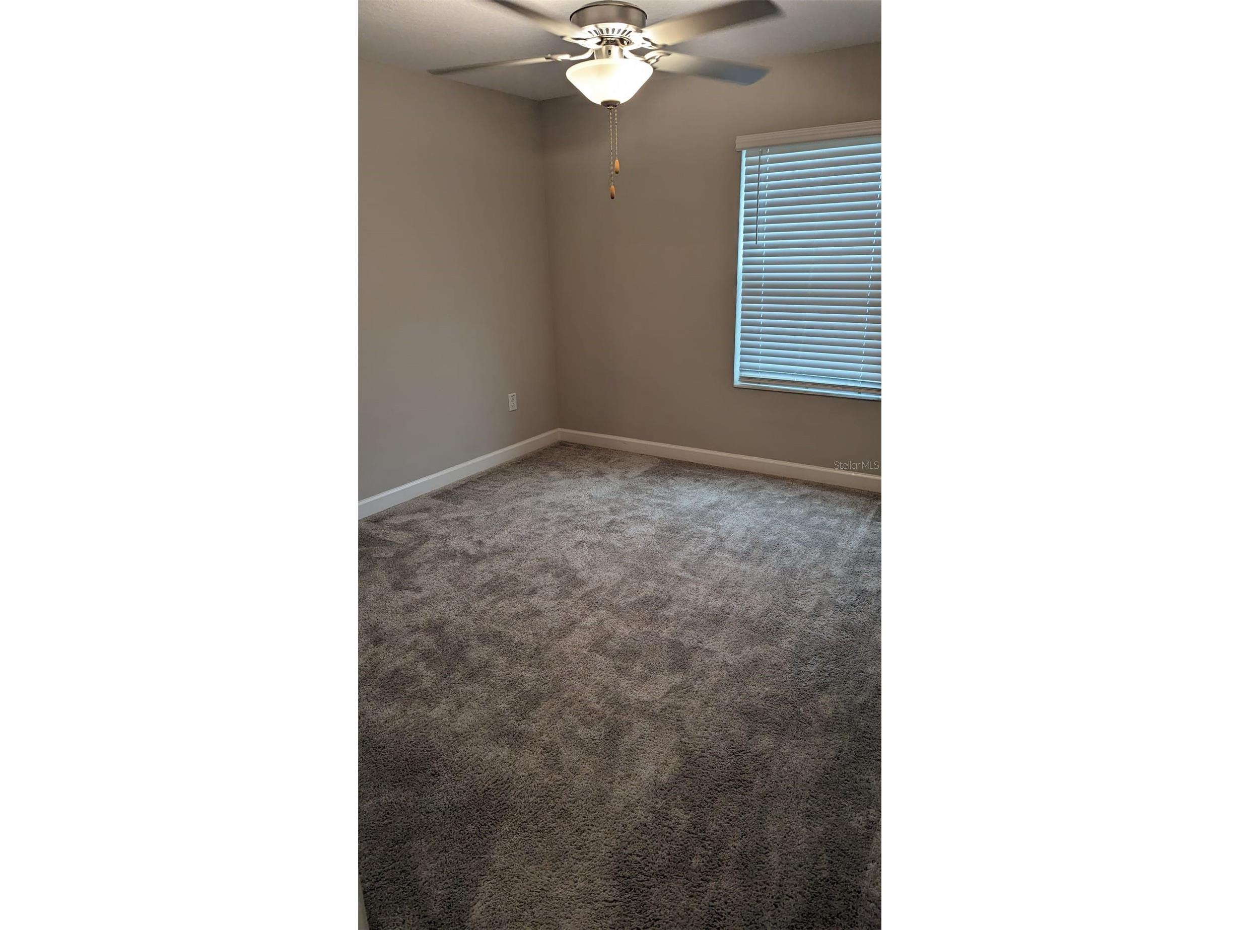 1384 White Fox Run Lutz FL 33549 TB8517280 image35