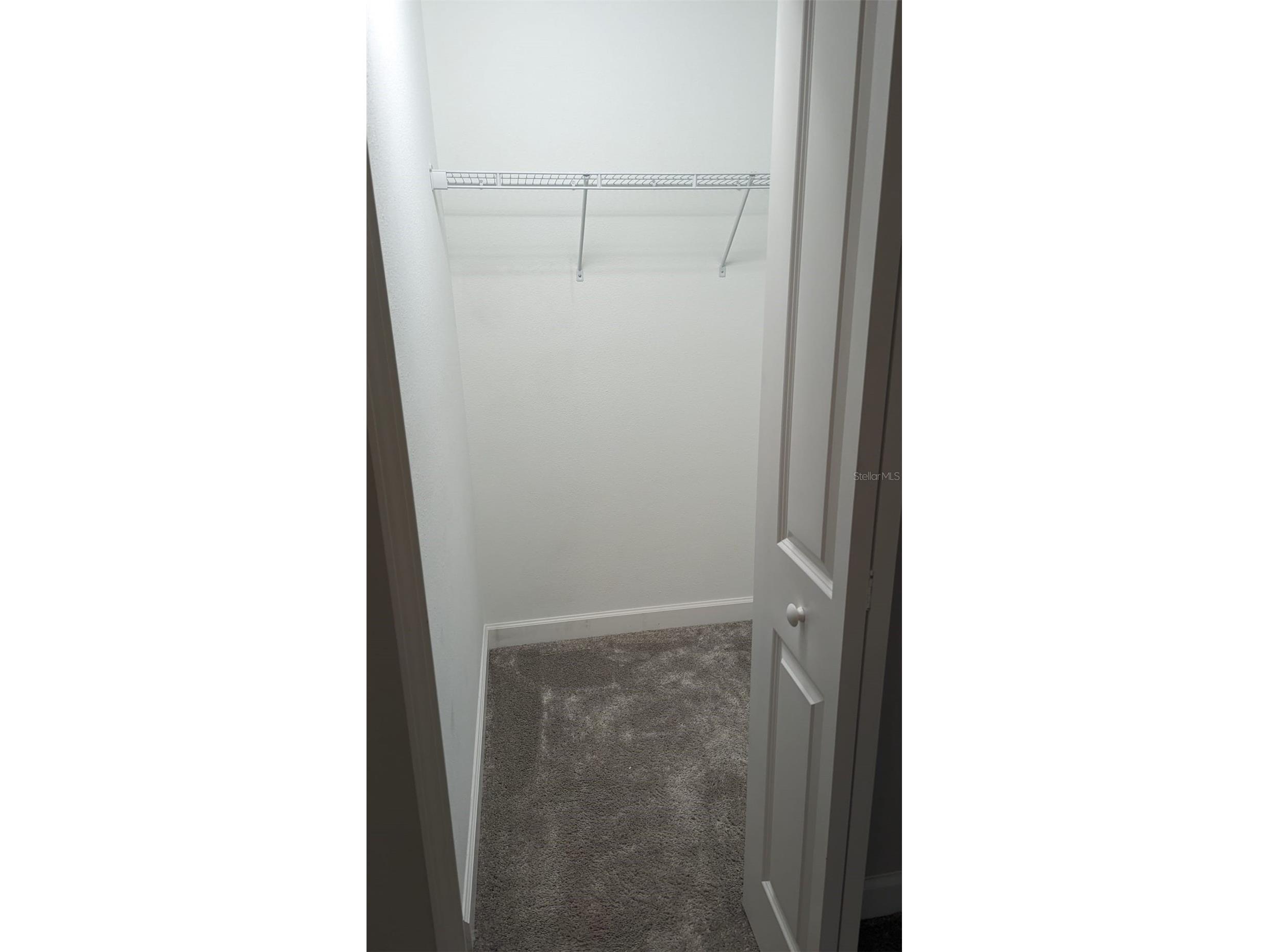 1384 White Fox Run Lutz FL 33549 TB8517280 image38
