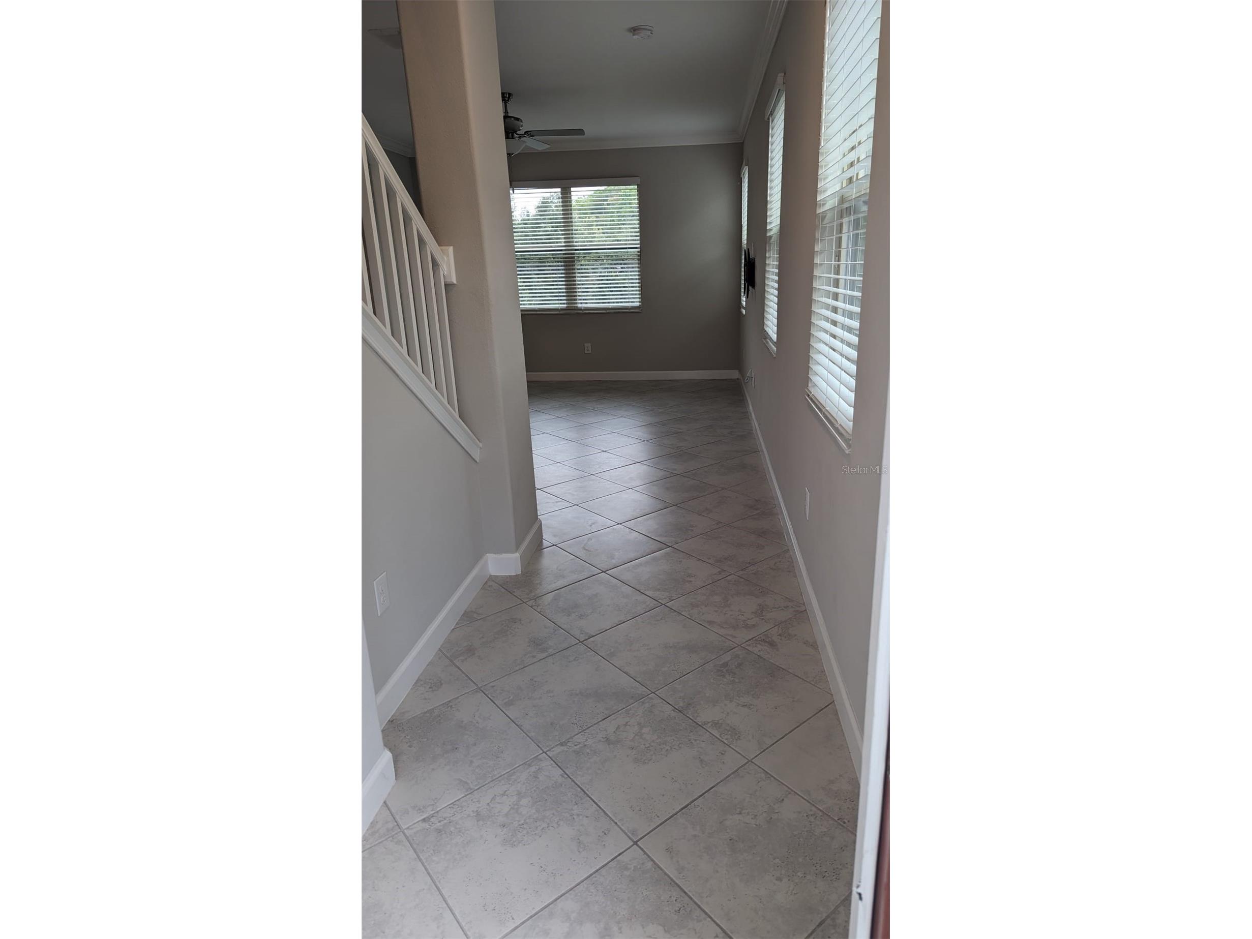 1384 White Fox Run Lutz FL 33549 TB8517280 image4