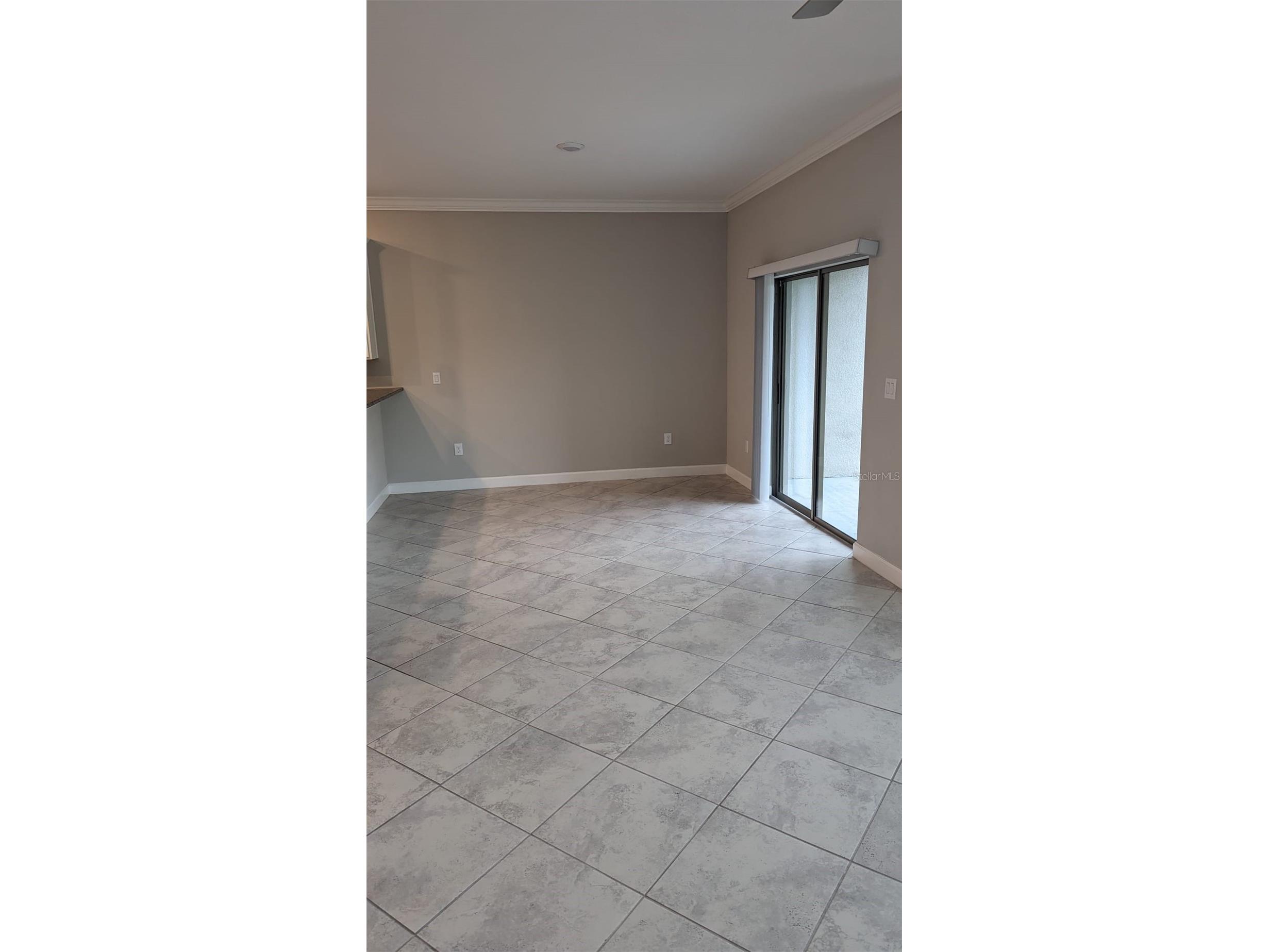 1384 White Fox Run Lutz FL 33549 TB8517280 image6