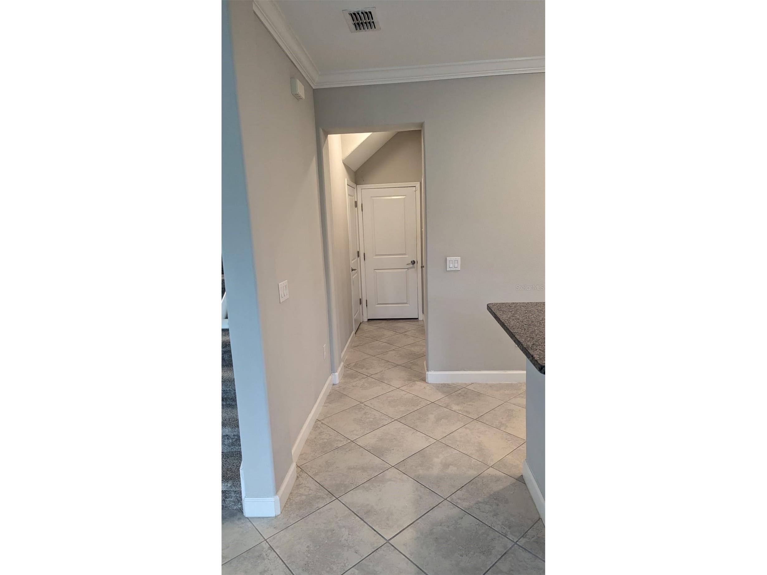 1384 White Fox Run Lutz FL 33549 TB8517280 image8