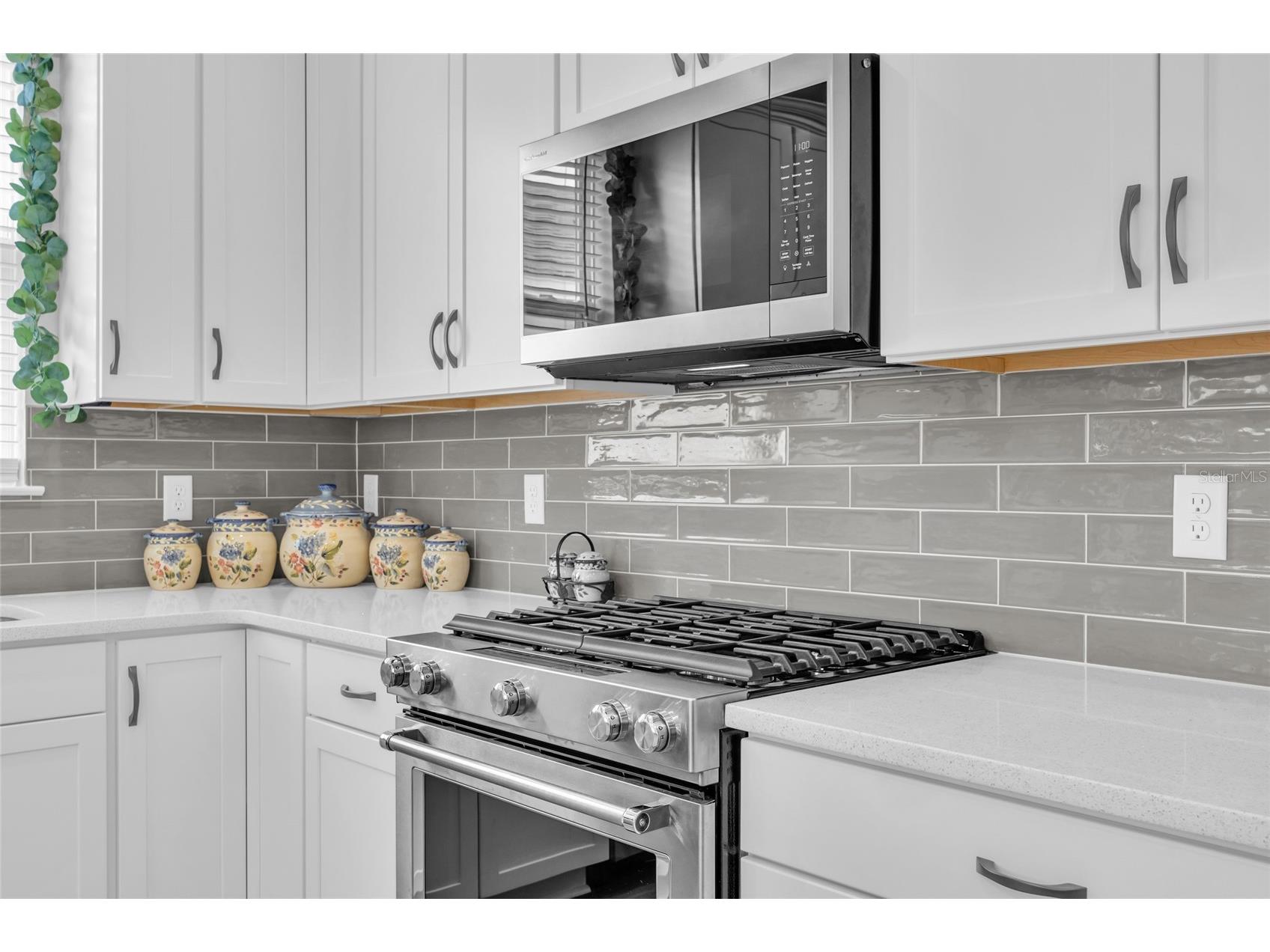 1384 Zesty Citrus Lane Minneola FL 34715 O6410563 image21