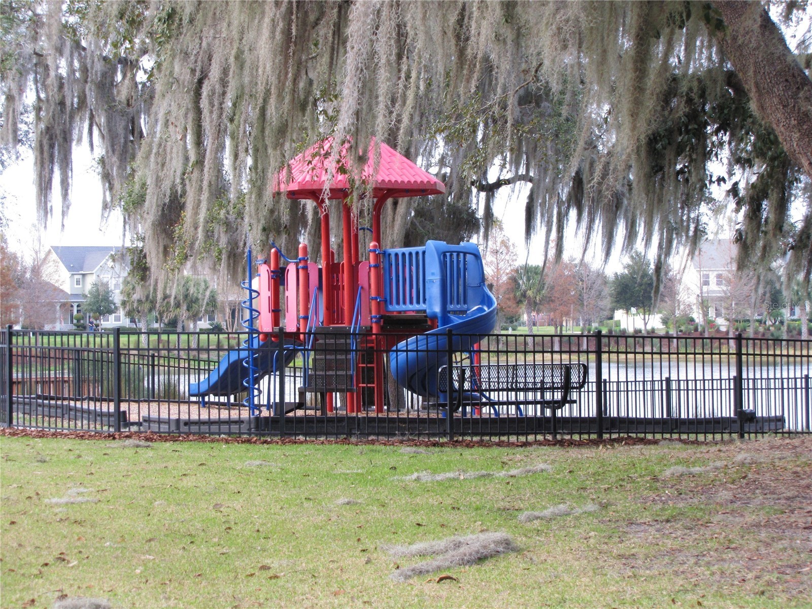 13841 Ancilla Boulevard Windermere FL 34786 O6386275 image24