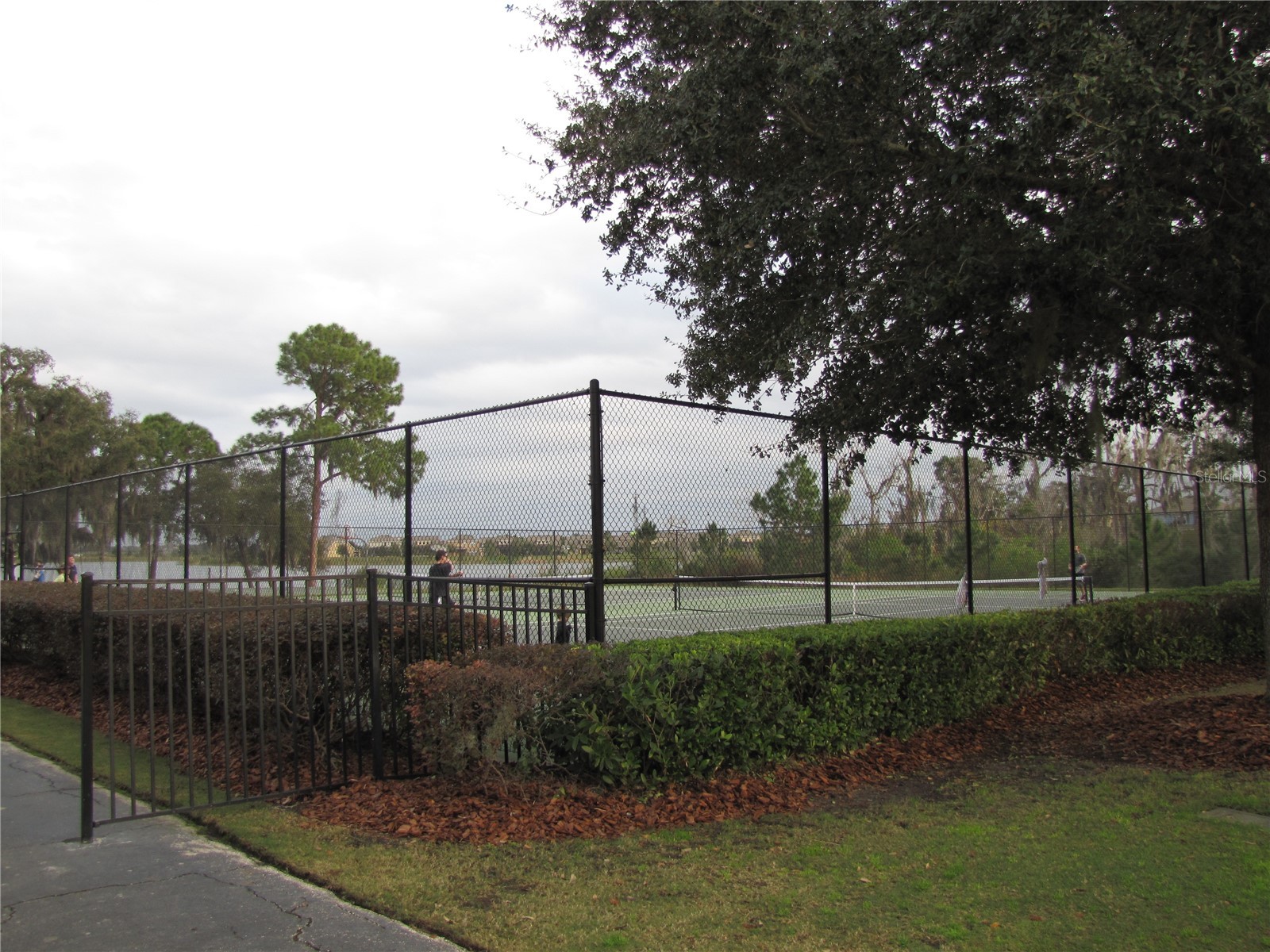 13841 Ancilla Boulevard Windermere FL 34786 O6386275 image25