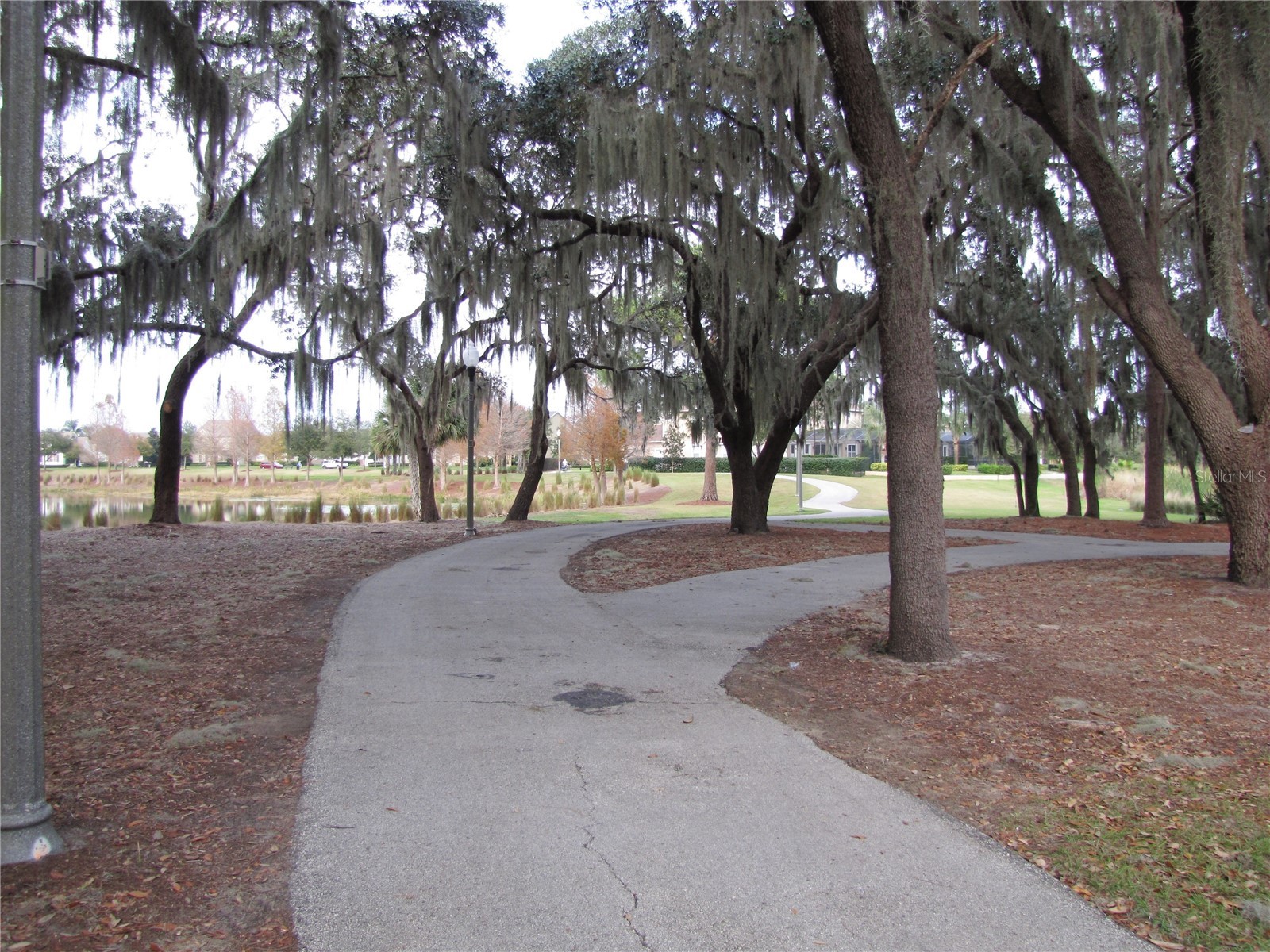 13841 Ancilla Boulevard Windermere FL 34786 O6386275 image28