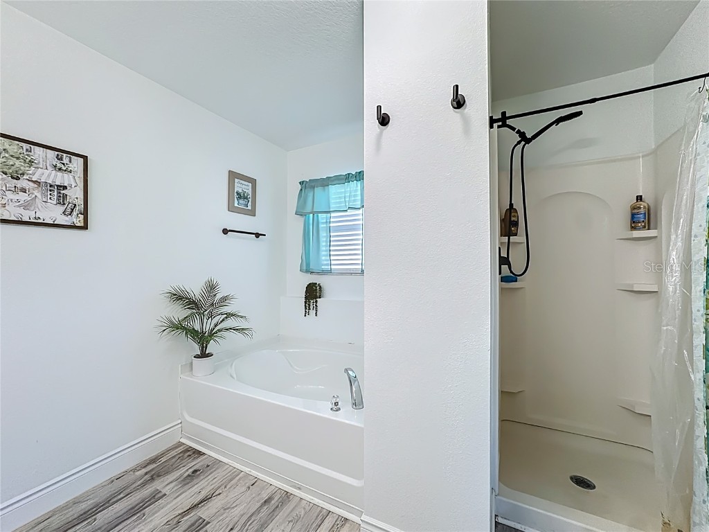 13841 Chihuly Court Orlando FL 32824 O6369535 image51