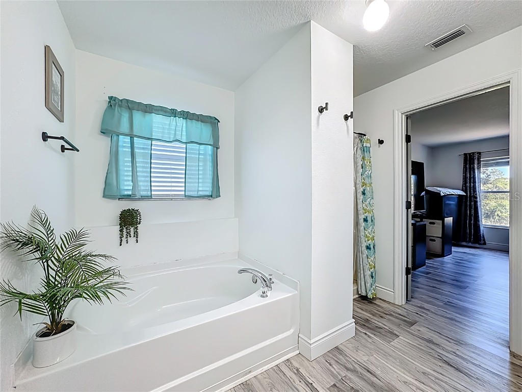 13841 Chihuly Court Orlando FL 32824 O6369535 image53