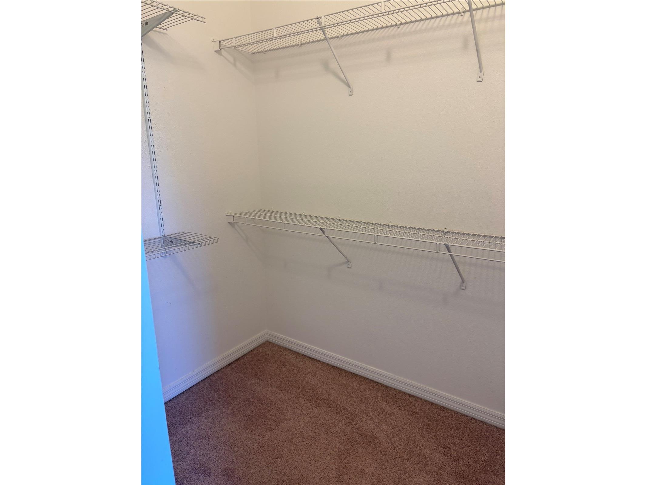 13841 Daniels Landing Circle Winter Garden FL 34787 O6419076 image12