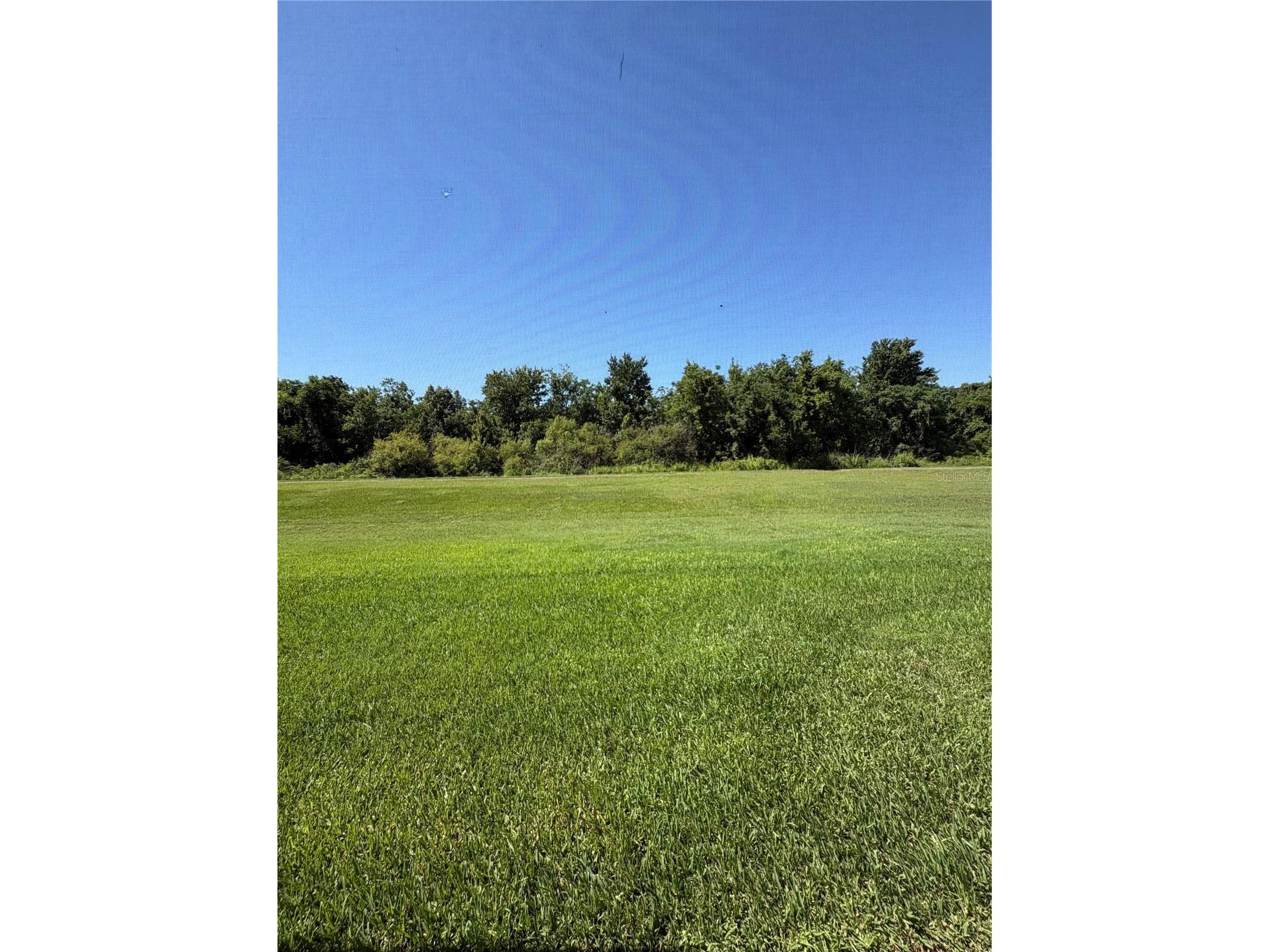13841 Daniels Landing Circle Winter Garden FL 34787 O6419076 image14
