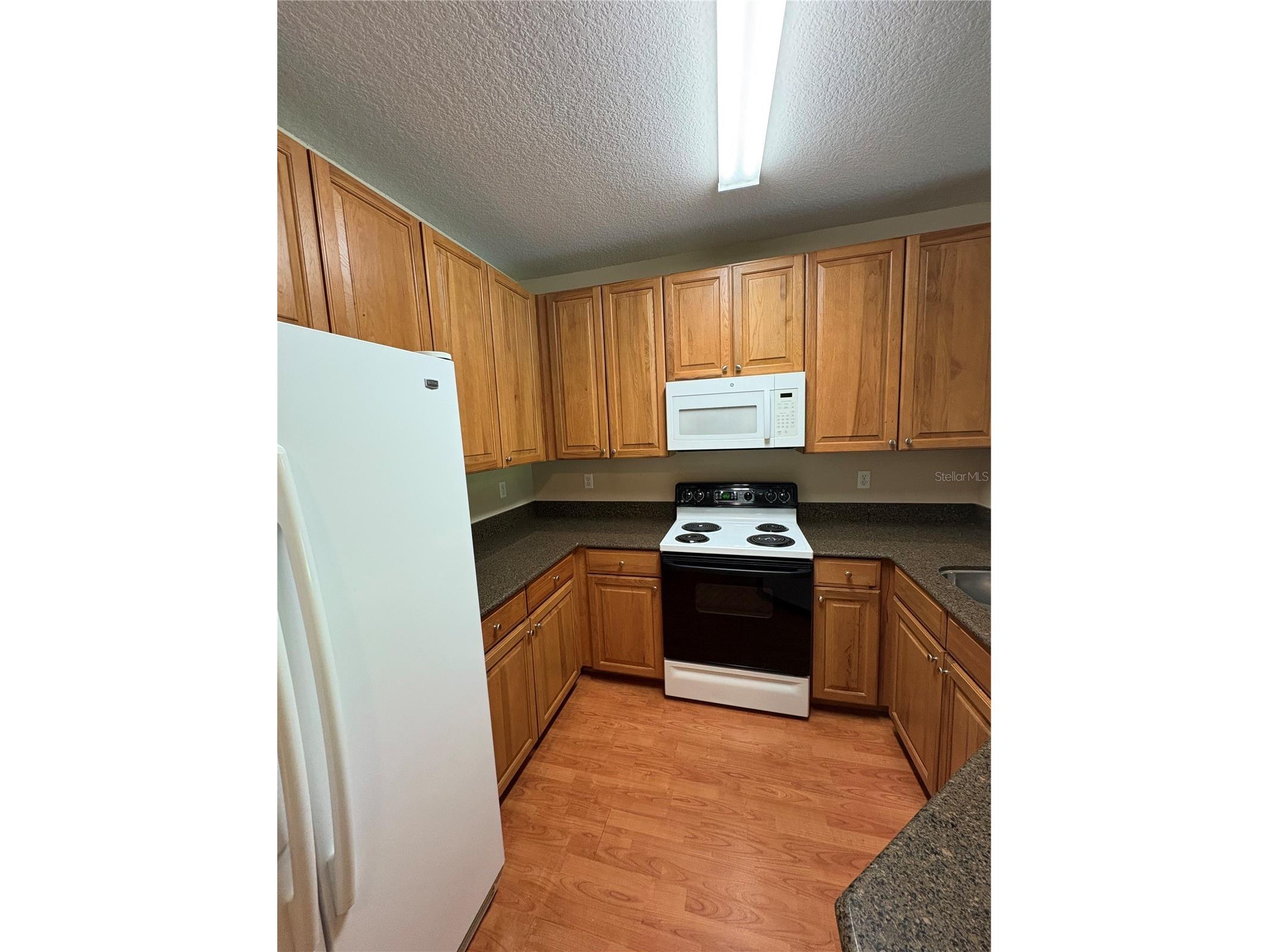 13841 Daniels Landing Circle Winter Garden FL 34787 O6419076 image3