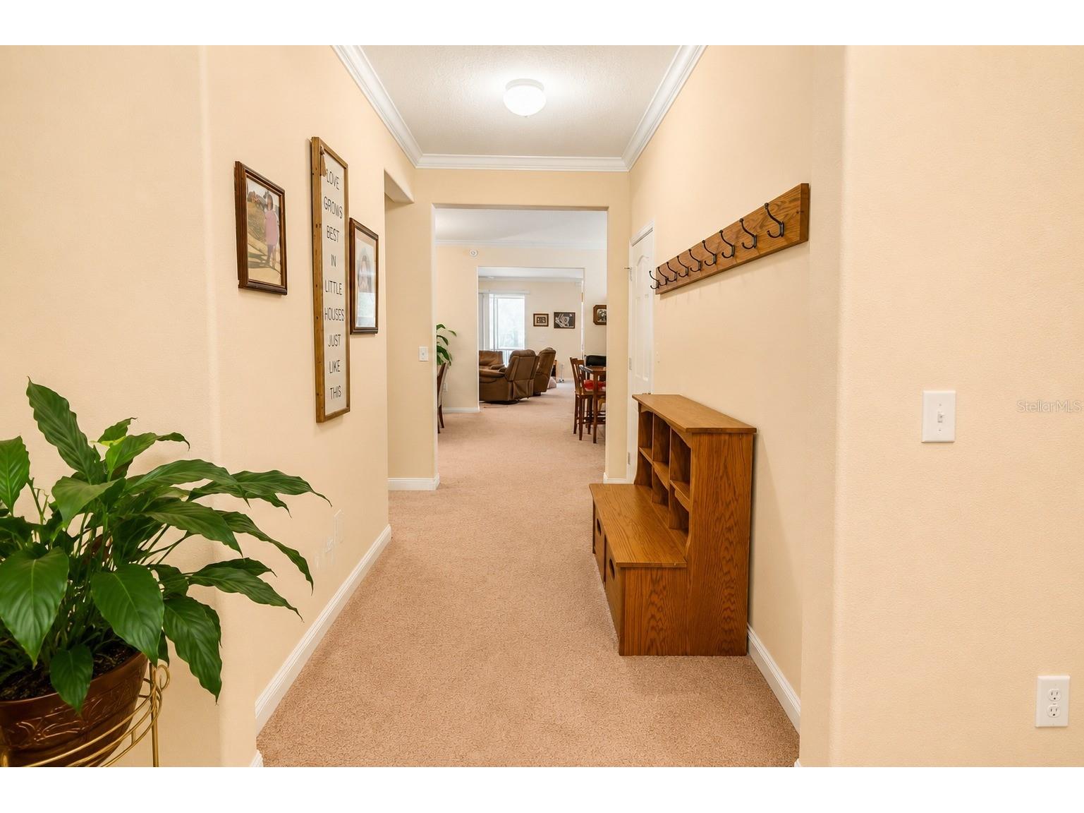 13842 Bee Tree Court Hudson FL 34669 TB8526834 image14