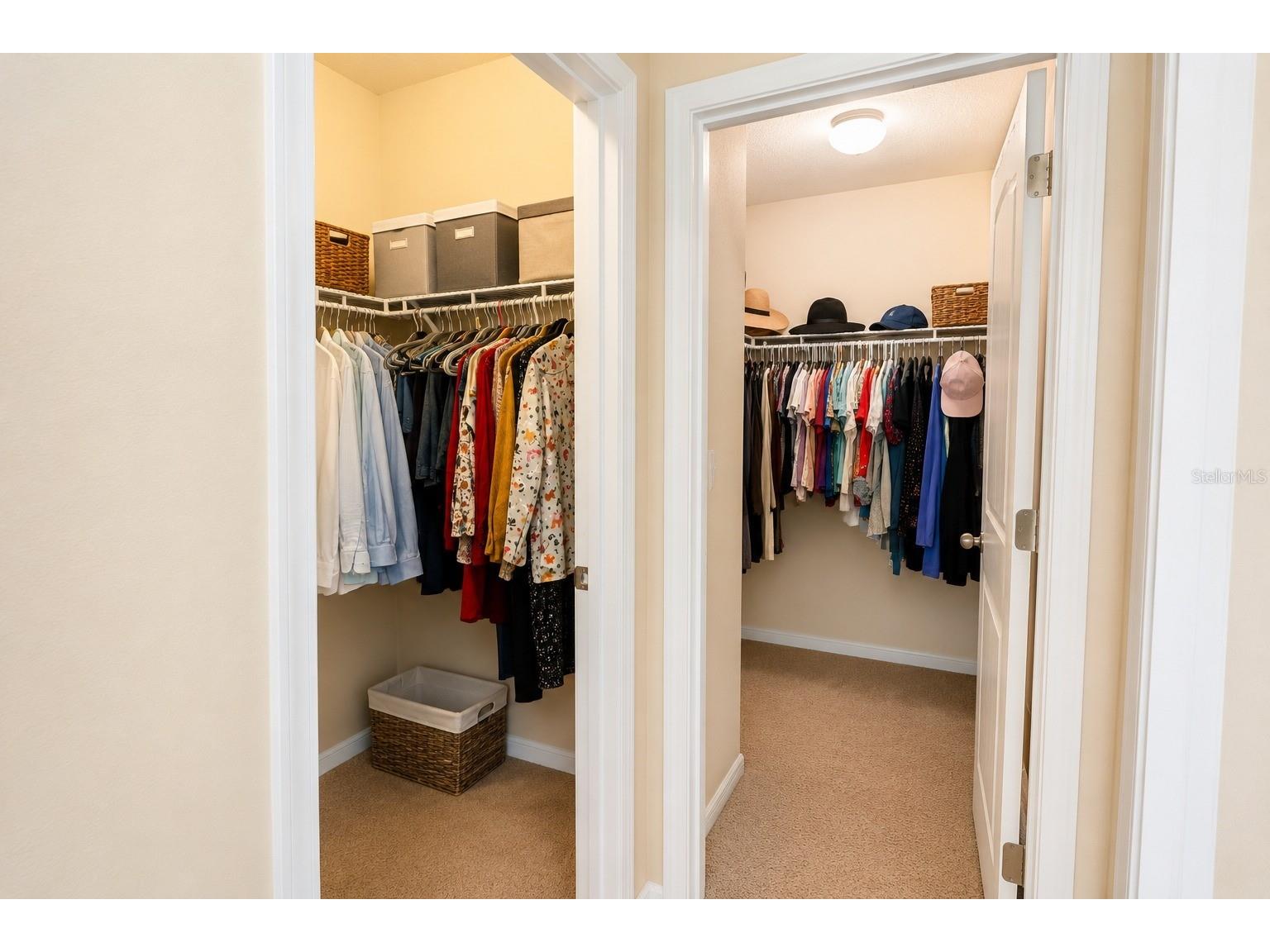 13842 Bee Tree Court Hudson FL 34669 TB8526834 image19