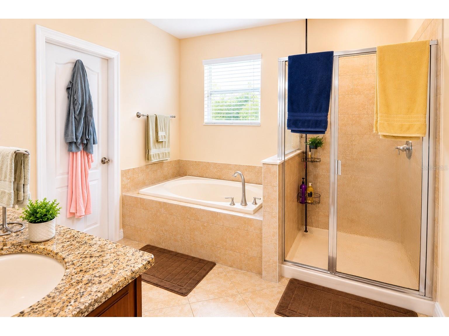 13842 Bee Tree Court Hudson FL 34669 TB8526834 image20