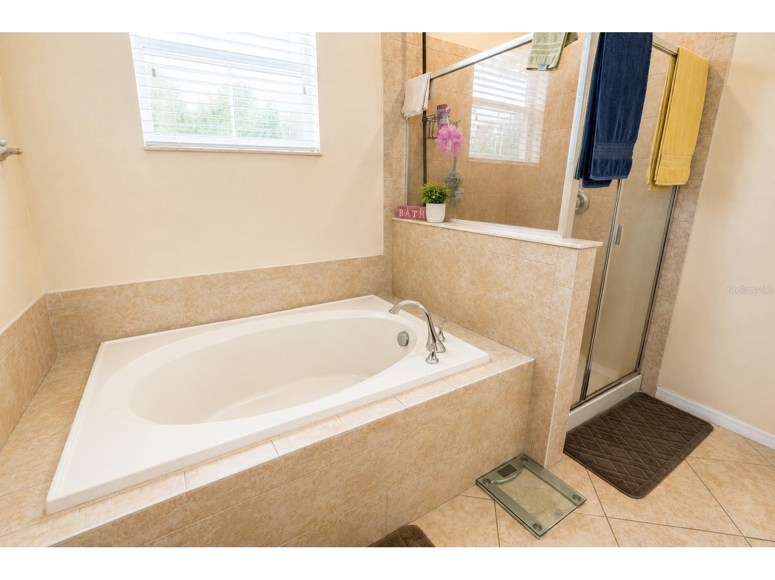 13842 Bee Tree Court Hudson FL 34669 TB8526834 image21