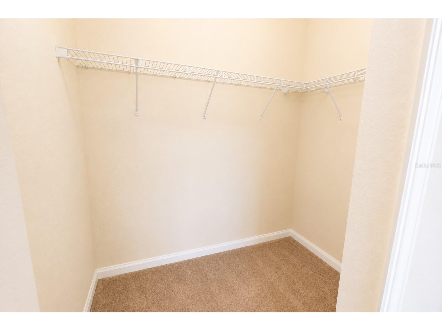 13842 Bee Tree Court Hudson FL 34669 TB8526834 image26