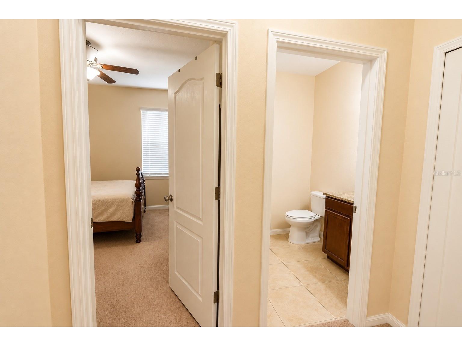 13842 Bee Tree Court Hudson FL 34669 TB8526834 image30
