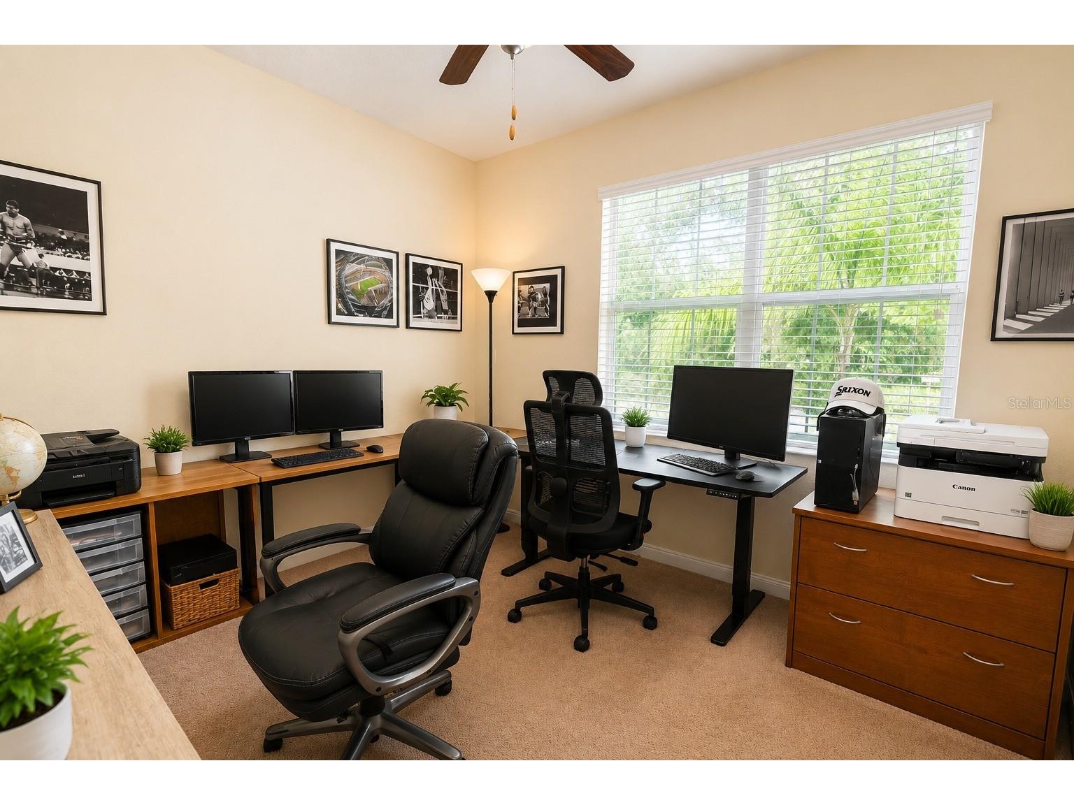 13842 Bee Tree Court Hudson FL 34669 TB8526834 image33