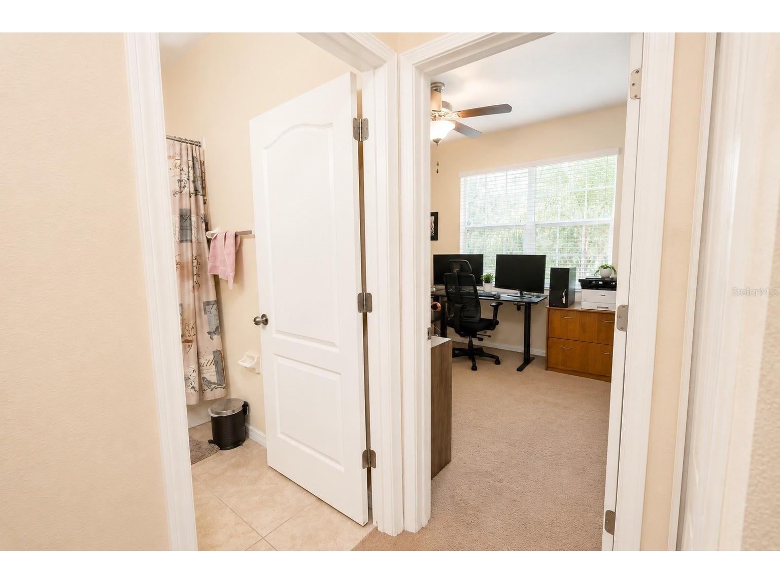 13842 Bee Tree Court Hudson FL 34669 TB8526834 image39