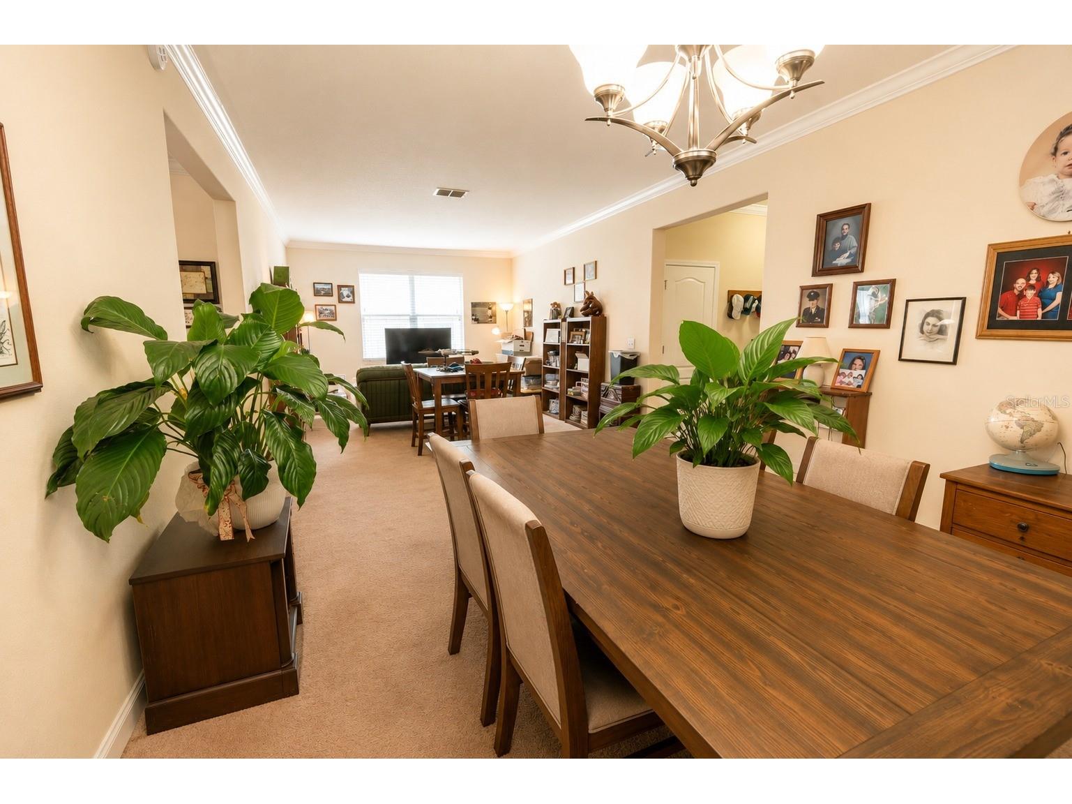 13842 Bee Tree Court Hudson FL 34669 TB8526834 image7