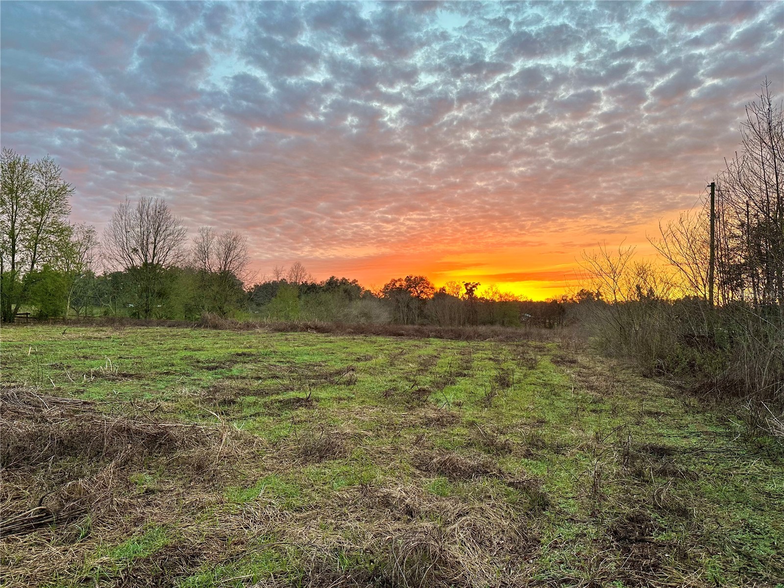 13844 NW 21st Court Citra FL 32113 OM715965 image4