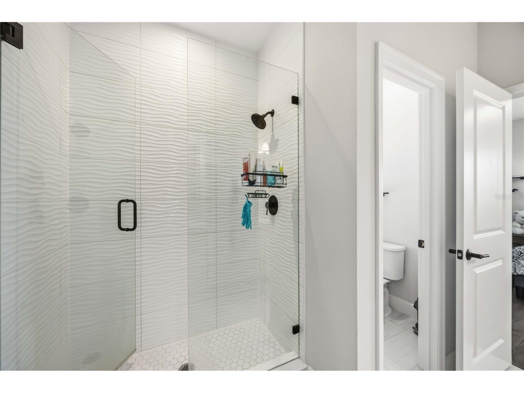 13845 Heartwood Way Parrish FL 34219 A4682358 image40