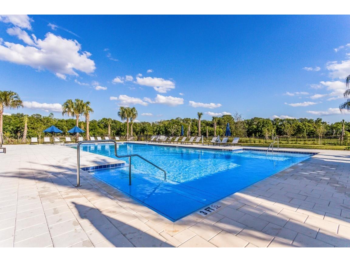 13848 American Prairie Place Lakewood Ranch FL 34211 A4651885 image65