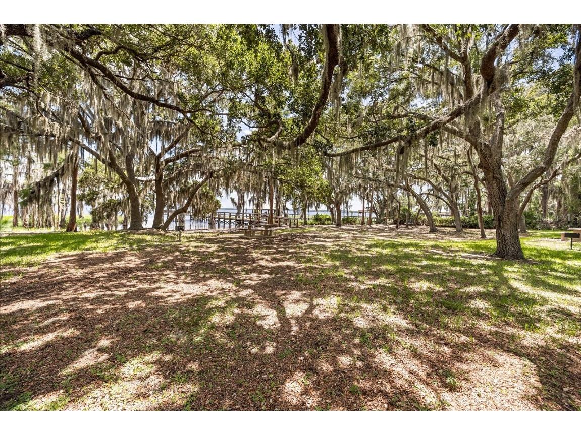 13848 Vista Del Lago Boulevard Clermont FL 34711 O6321049 image43