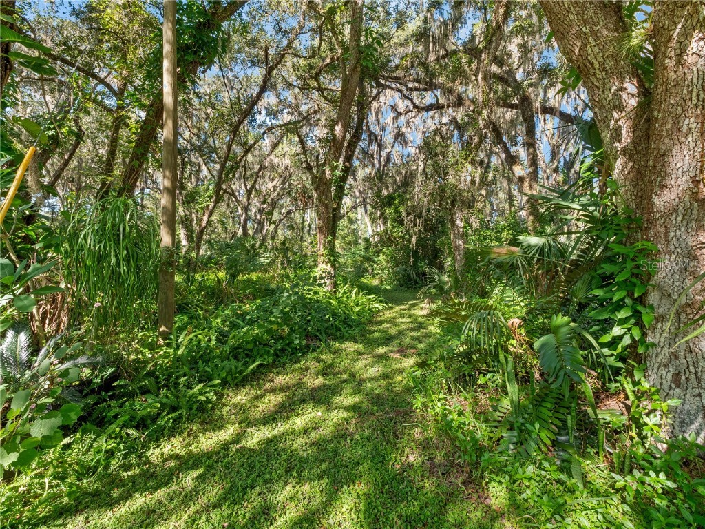 1385 Enterprise Osteen Road Enterprise FL 32725 - LK. MONROE CANAL.DEEDED ACCESS O6353755 image12