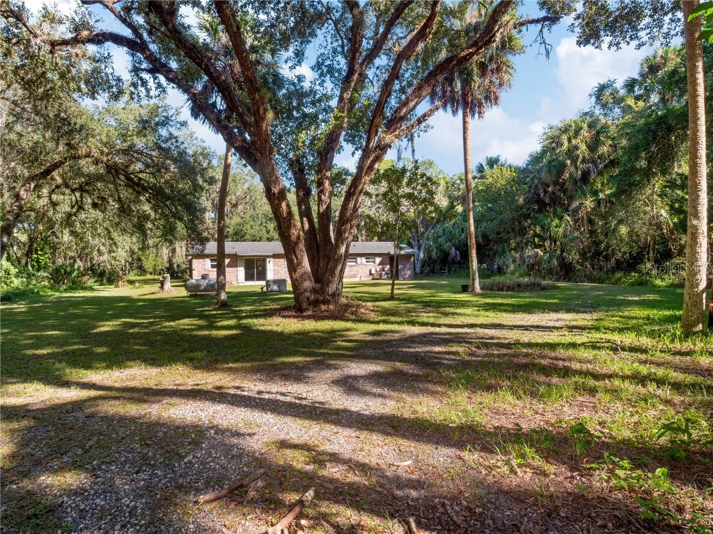 1385 Enterprise Osteen Road Enterprise FL 32725 - LK. MONROE CANAL.DEEDED ACCESS O6353755 image2