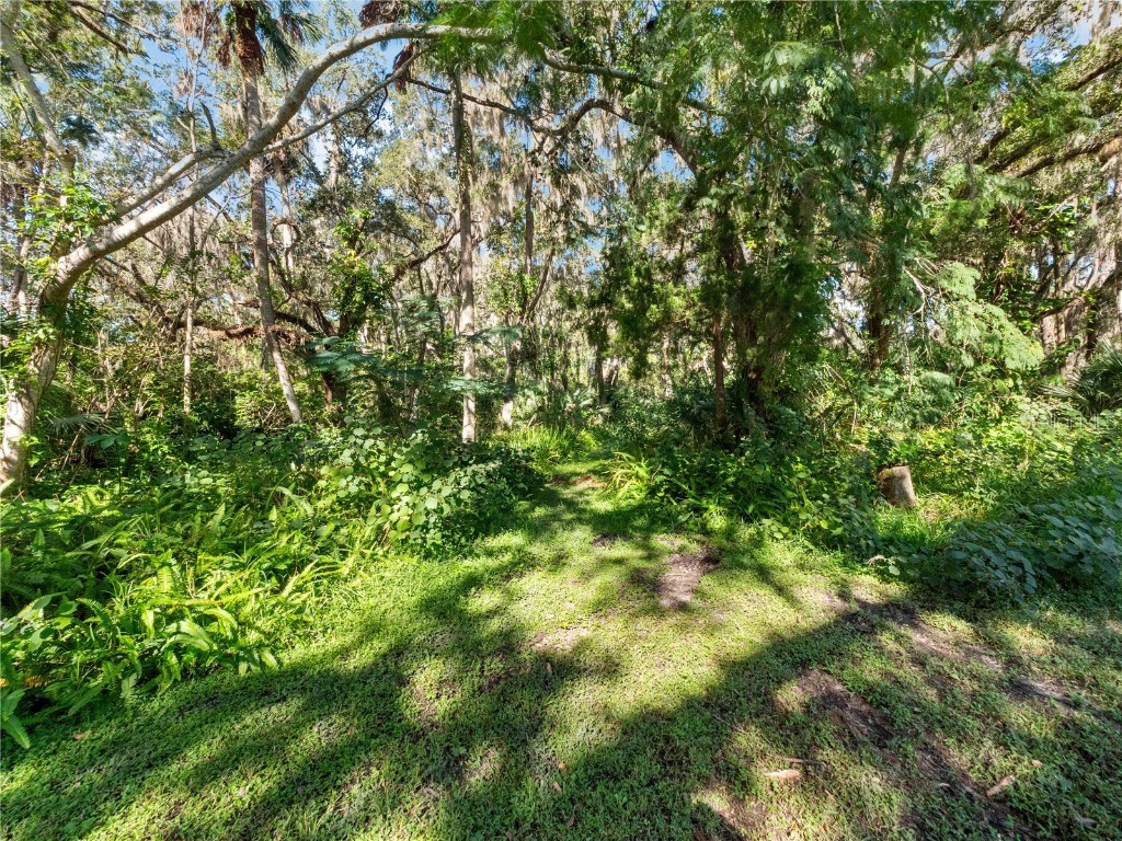 1385 Enterprise Osteen Road Enterprise FL 32725 - LK. MONROE CANAL.DEEDED ACCESS O6353755 image31