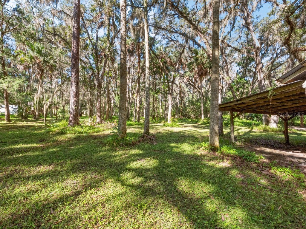 1385 Enterprise Osteen Road Enterprise FL 32725 - LK. MONROE CANAL.DEEDED ACCESS O6353755 image33