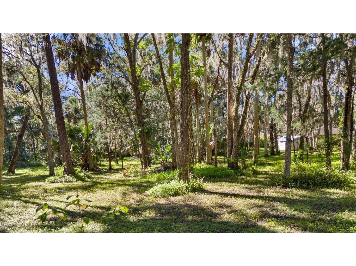 1385 Enterprise Osteen Road Enterprise FL 32725 - LK. MONROE CANAL.DEEDED ACCESS O6353755 image38
