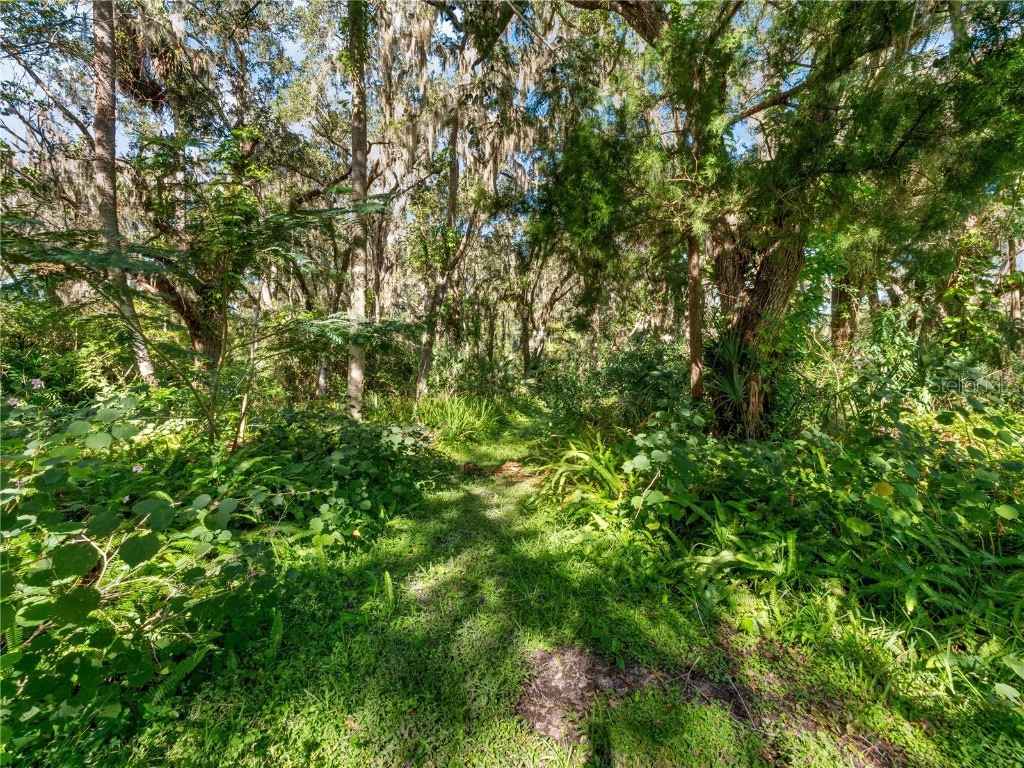 1385 Enterprise Osteen Road Enterprise FL 32725 - LK. MONROE CANAL.DEEDED ACCESS O6353755 image40