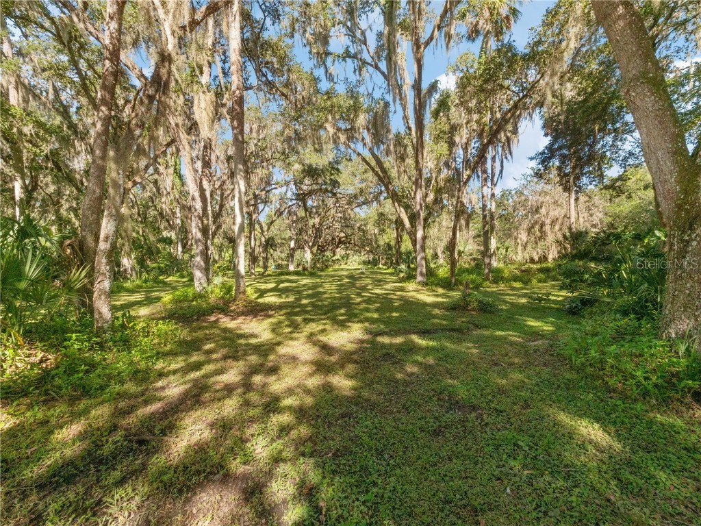 1385 Enterprise Osteen Road Enterprise FL 32725 - LK. MONROE CANAL.DEEDED ACCESS O6353755 image41