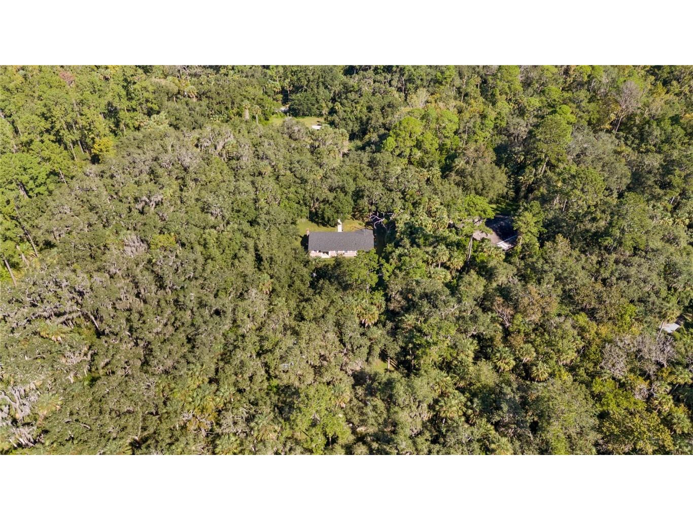 1385 Enterprise Osteen Road Enterprise FL 32725 - LK. MONROE CANAL.DEEDED ACCESS O6353755 image46