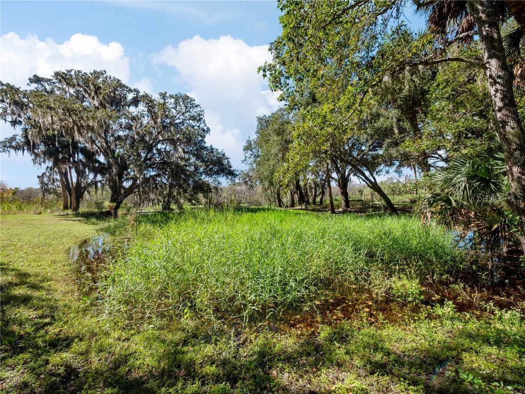 1385 Enterprise Osteen Road Enterprise FL 32725 - LK. MONROE CANAL.DEEDED ACCESS O6353755 image48