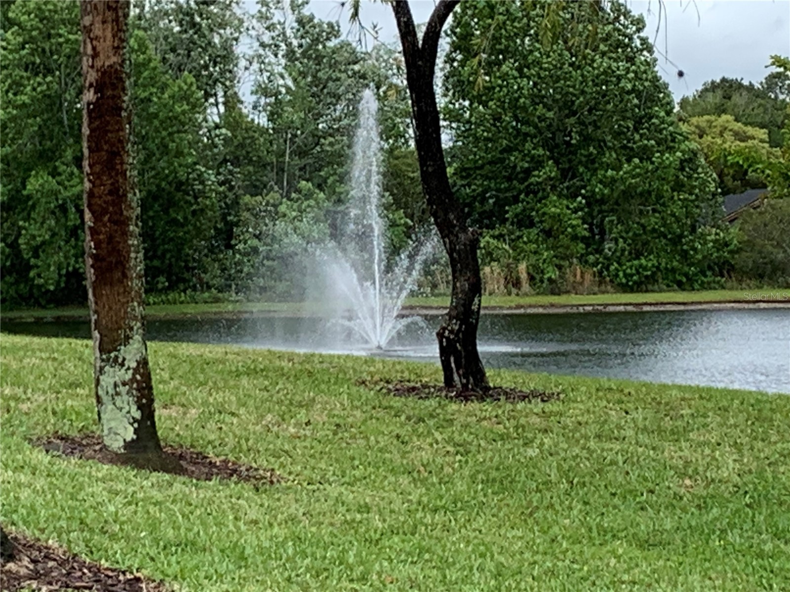 1385 San Diego Court Winter Springs FL 32708 O6397680 image24