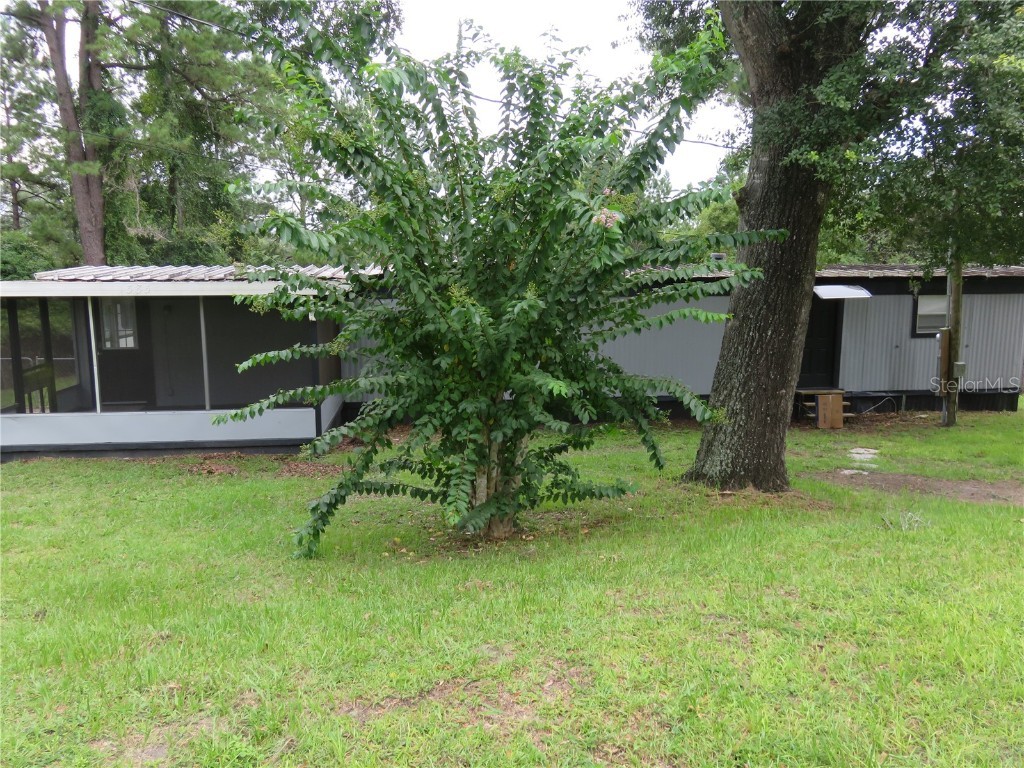 1385 SE 160th Terrace Ocklawaha FL 32179 - NORTH LAKE BRYANT OM682520 image1