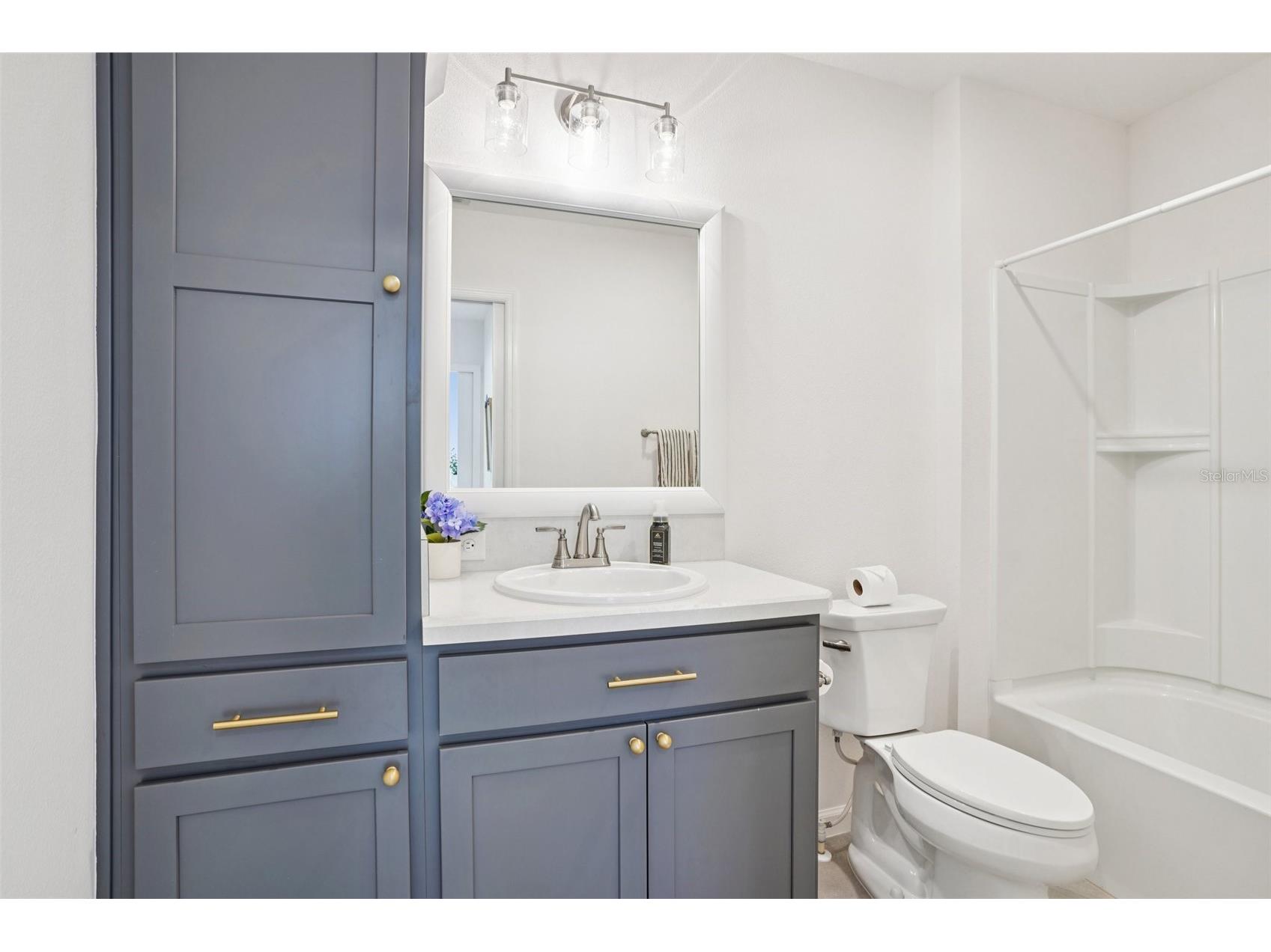 1385 Turner Terrace The Villages FL 32163 G5110893 image30