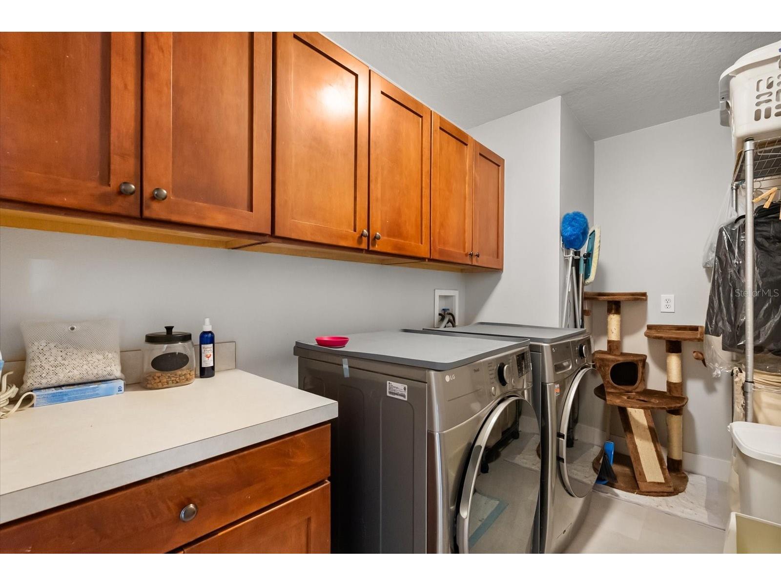 13850 Carolina Laurel Drive Orlando FL 32828 V4946967 image18