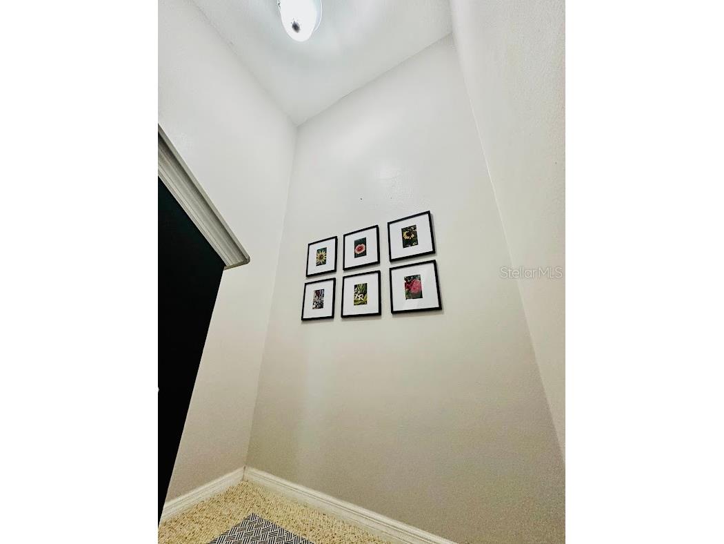 13850 Carolina Laurel Drive Orlando FL 32828 V4946967 image20